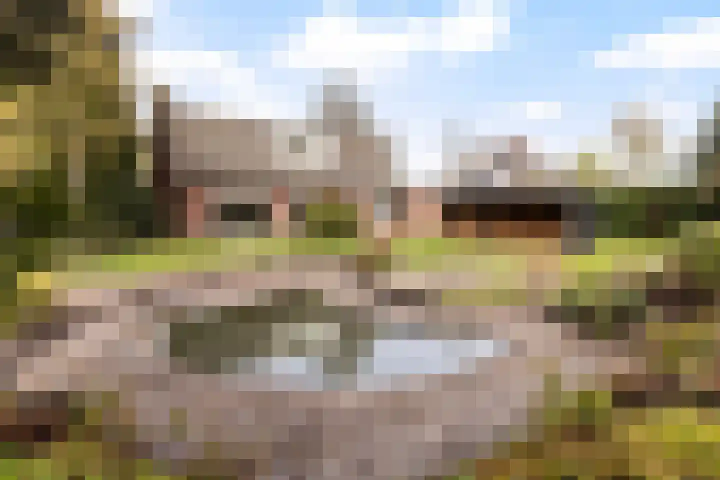 Skierstins 8 Feanwâlden thumbnail 22
