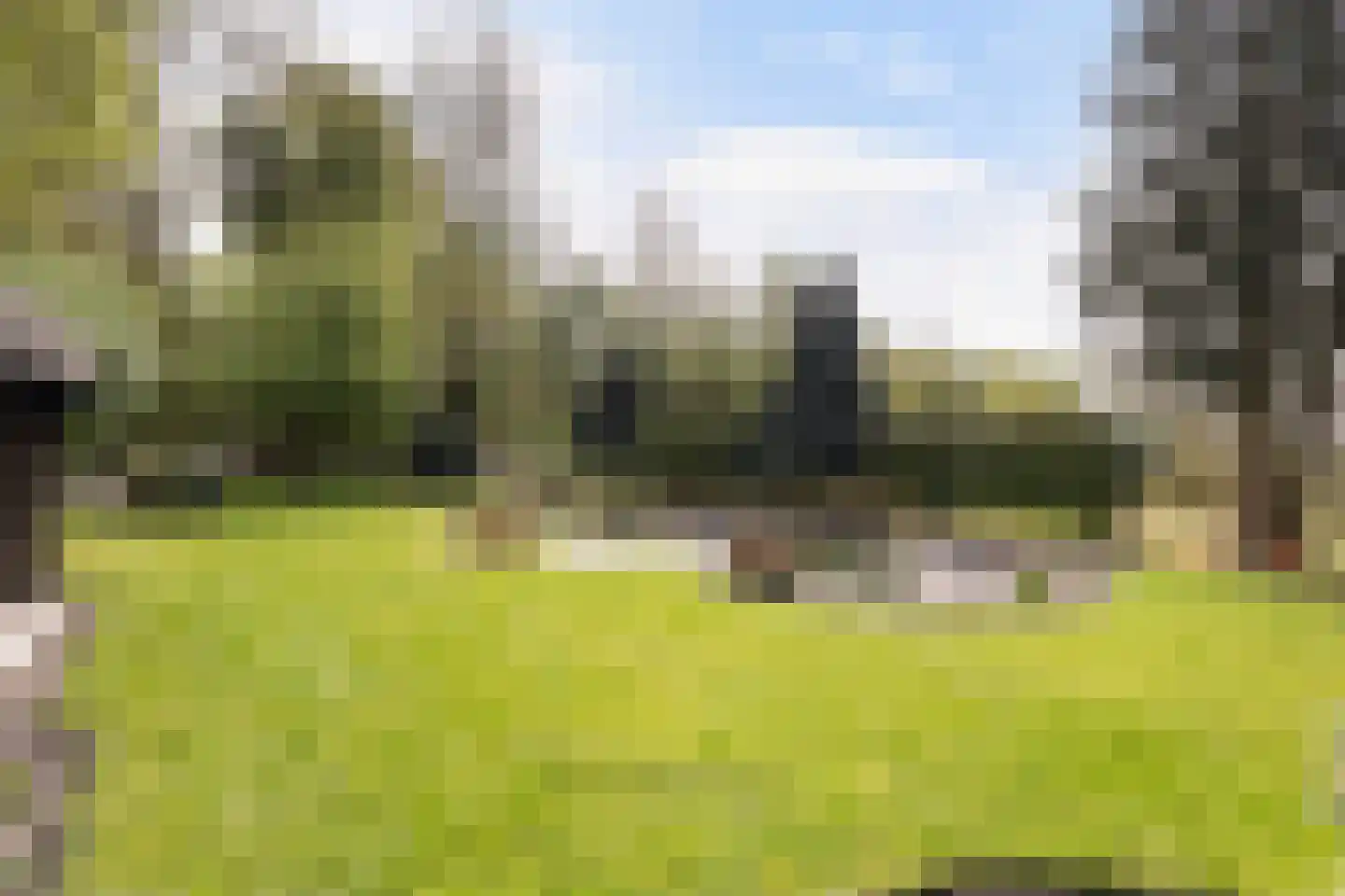 Skierstins 8 Feanwâlden thumbnail 25