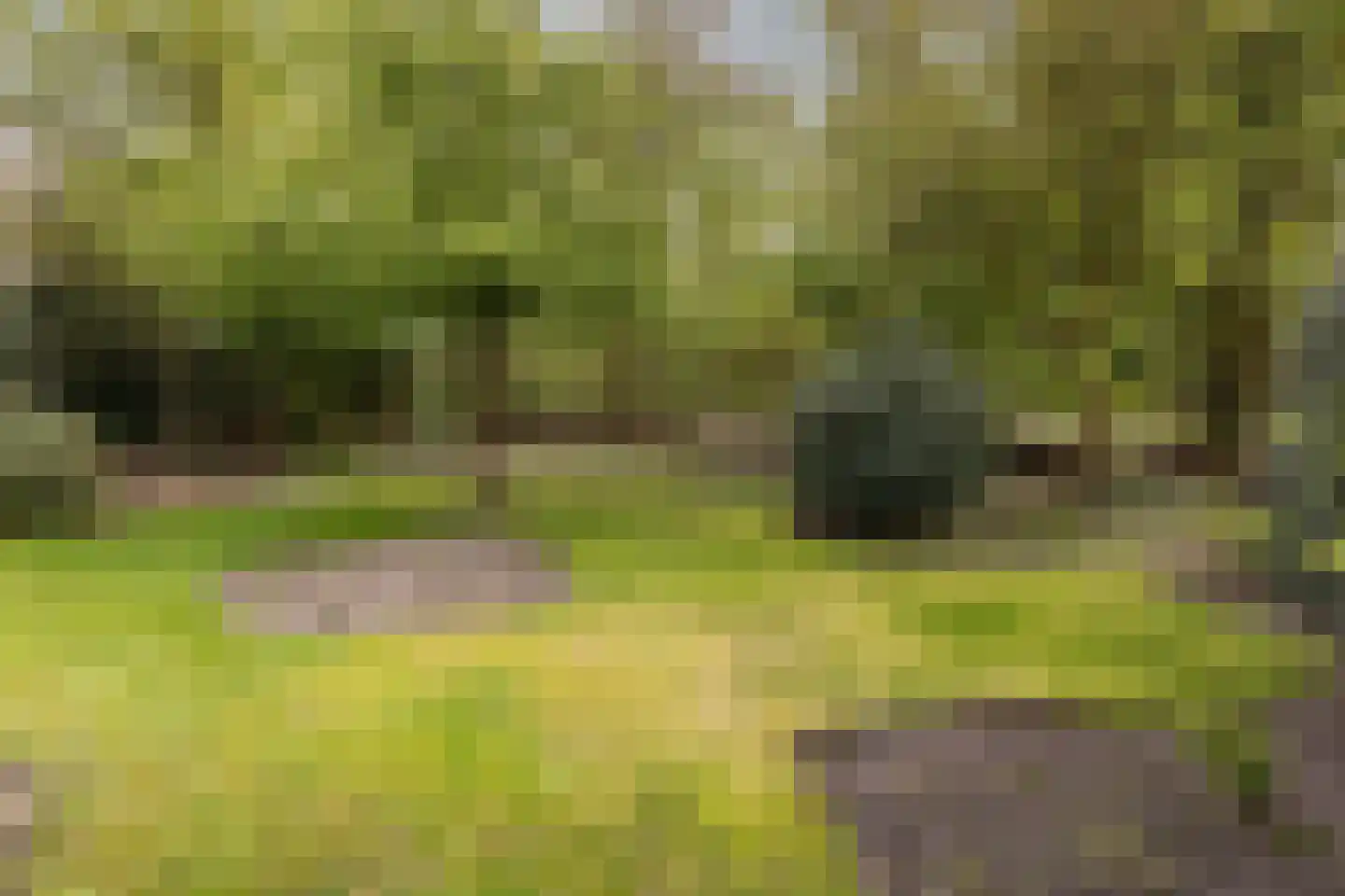Skierstins 8 Feanwâlden thumbnail 26