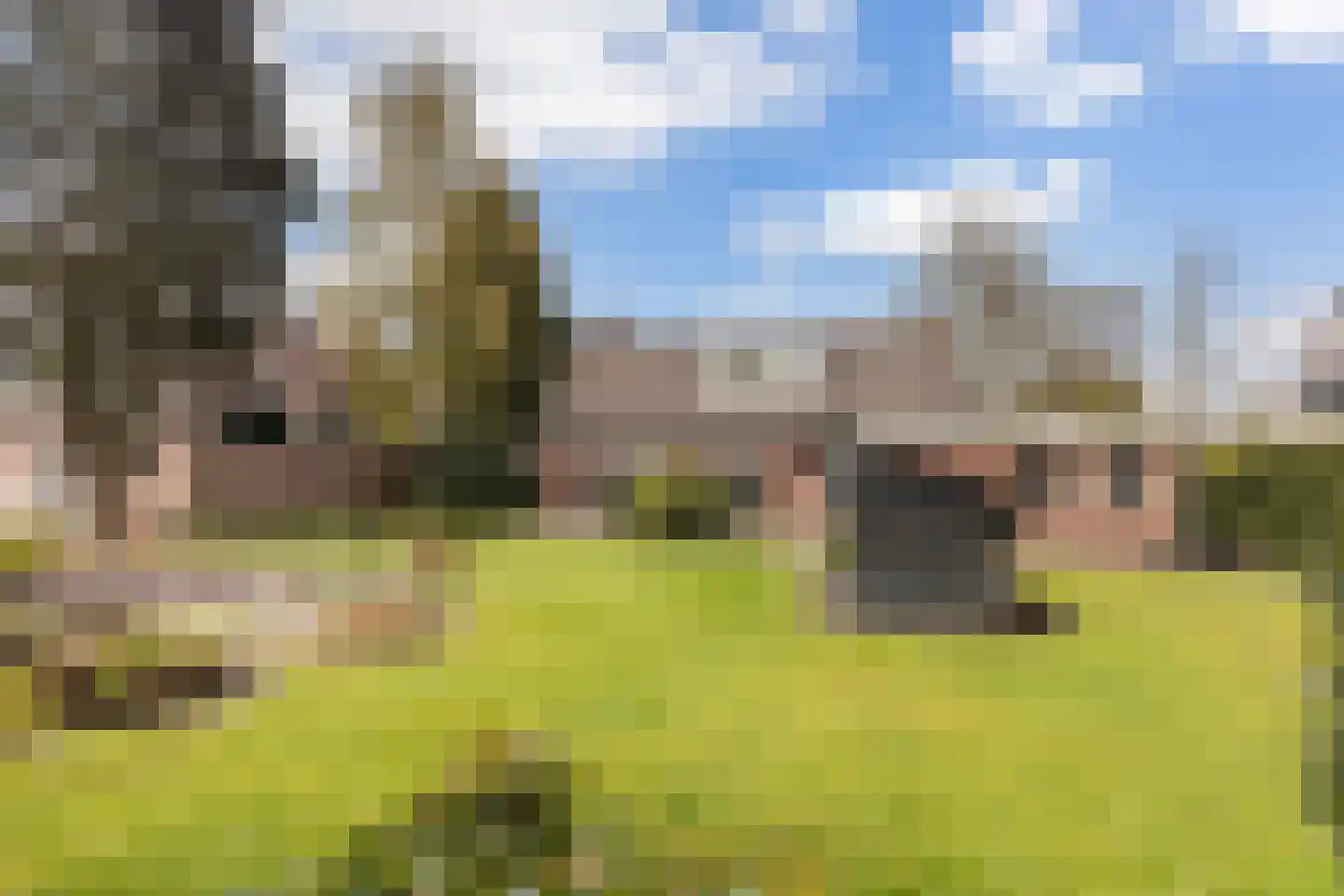 Skierstins 8 Feanwâlden thumbnail 27