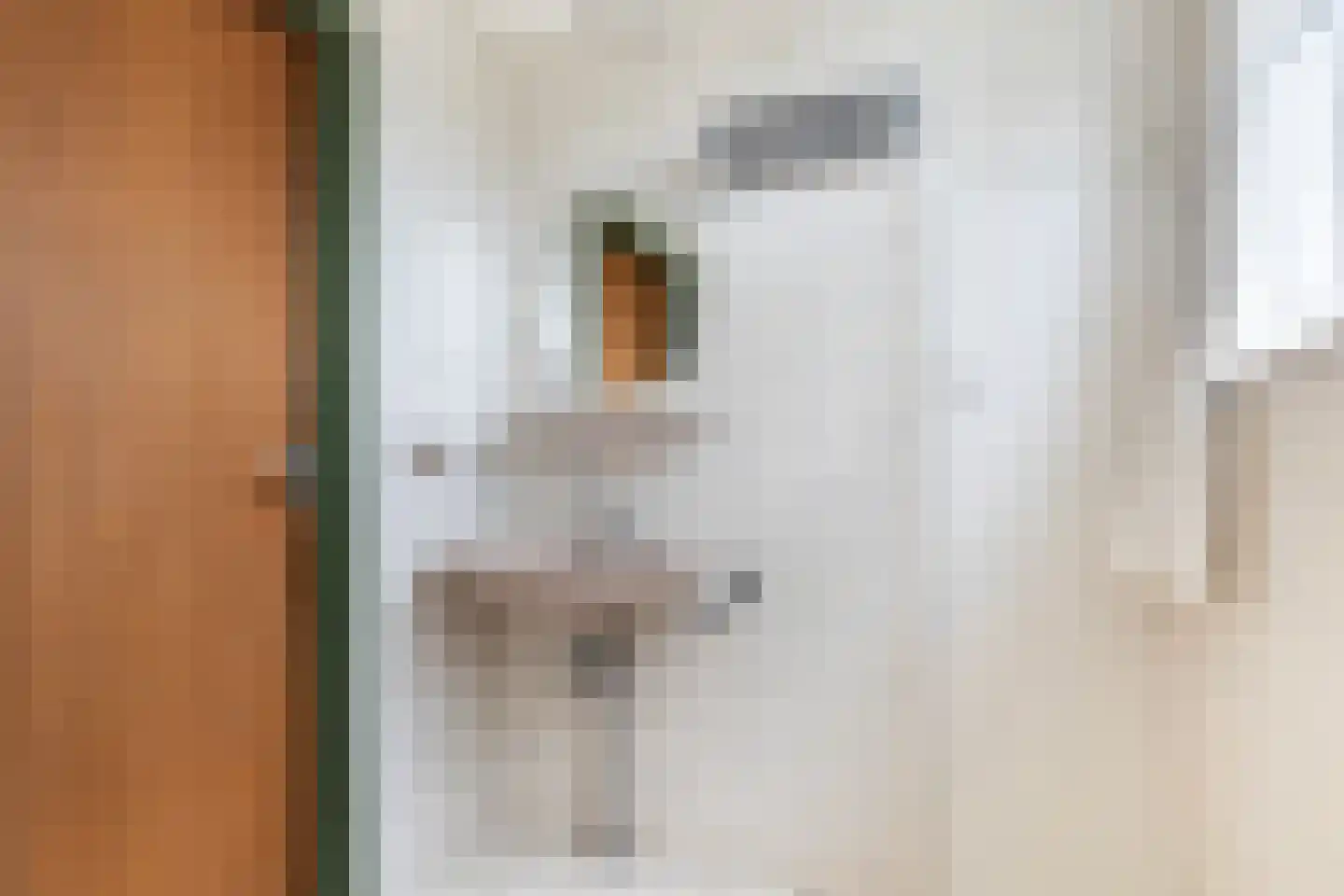Skierstins 8 Feanwâlden thumbnail 41