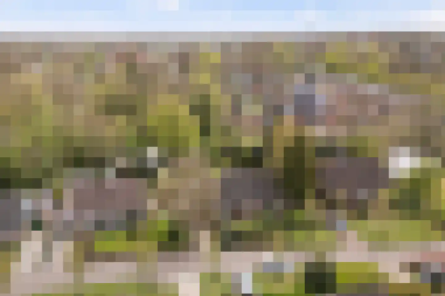 Skierstins 8 Feanwâlden thumbnail 43