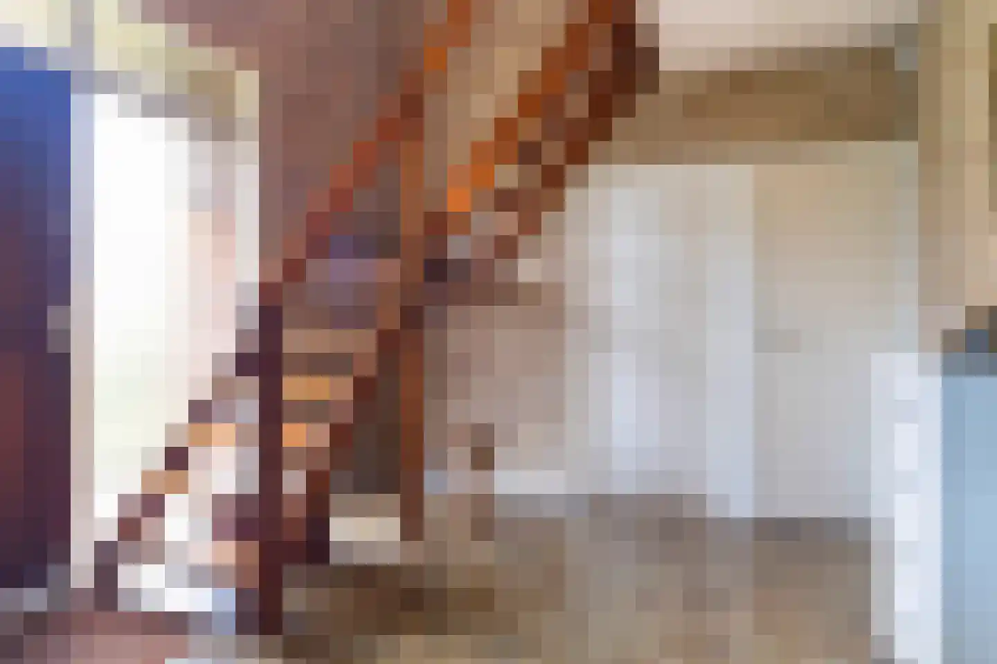 Skierstins 8 Feanwâlden thumbnail 5