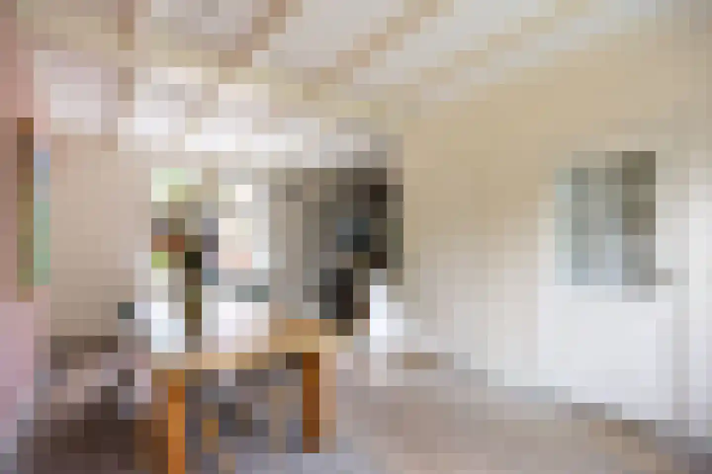 Skillaerderdyk 10 Mantgum thumbnail 25
