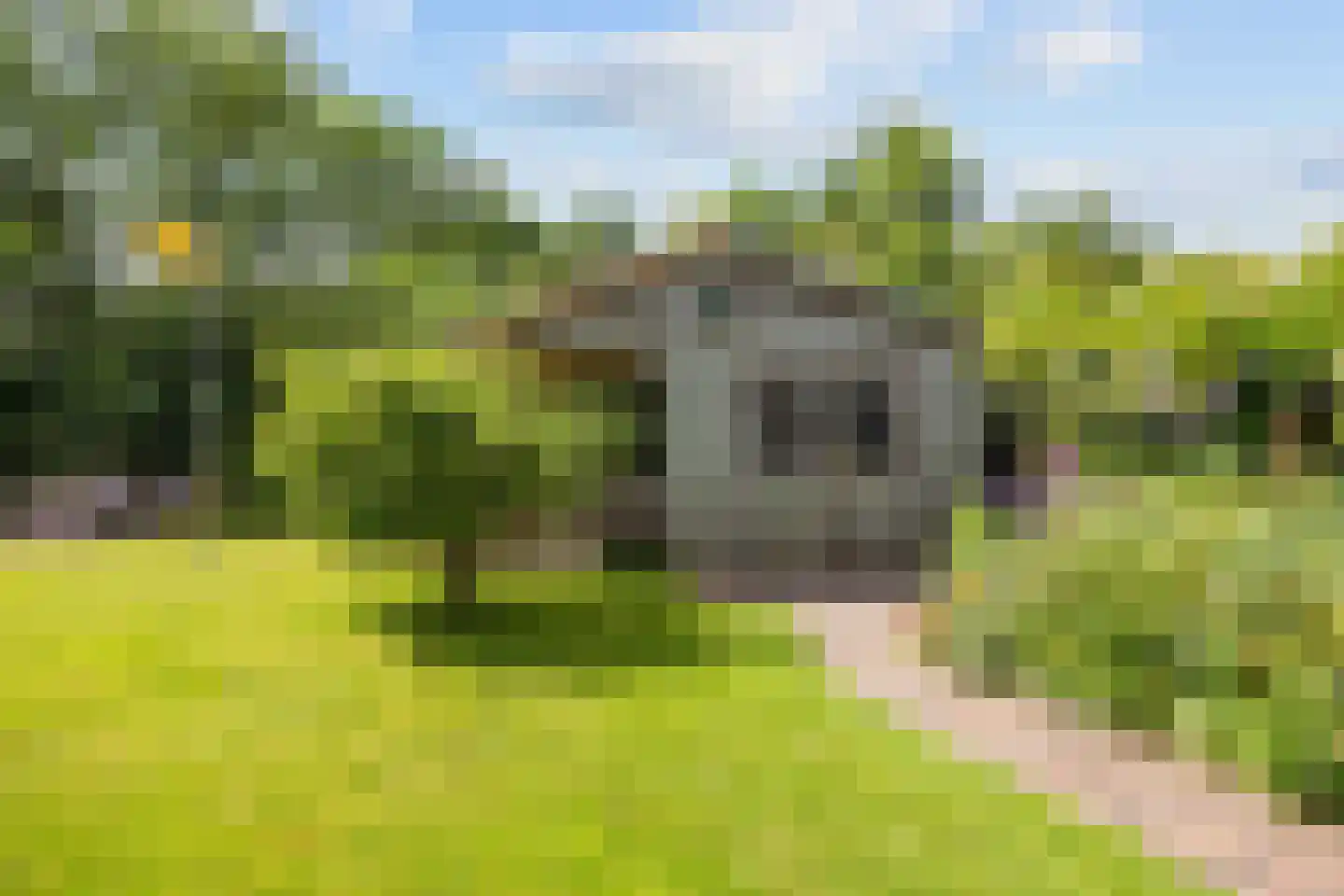 Skillaerderdyk 10 Mantgum thumbnail 44