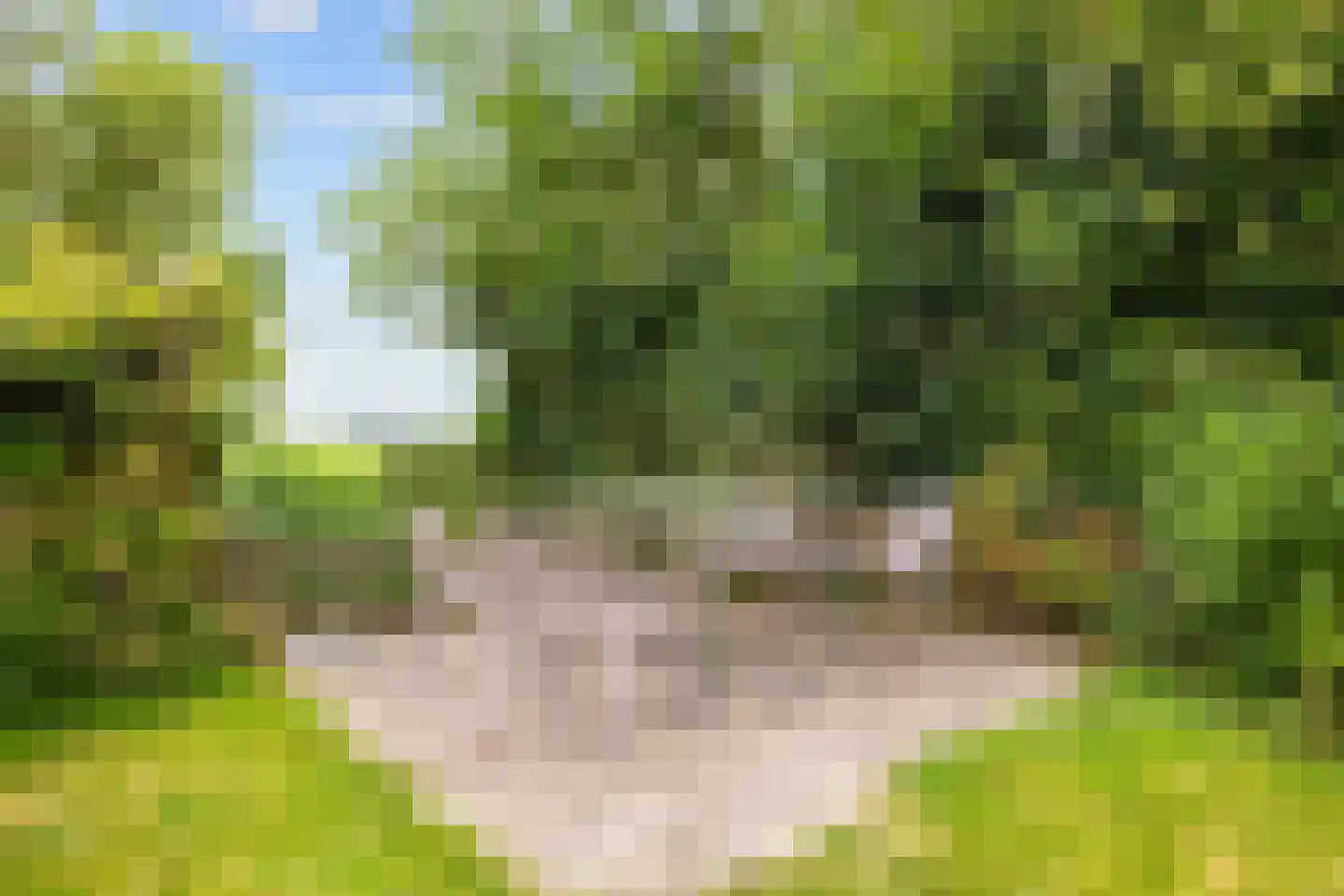 Skillaerderdyk 10 Mantgum thumbnail 45