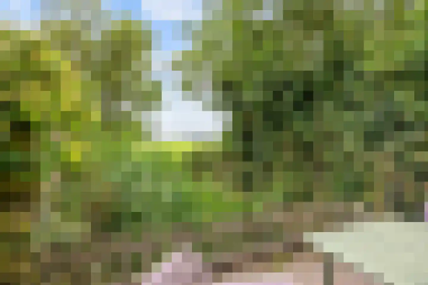 Skillaerderdyk 10 Mantgum thumbnail 46