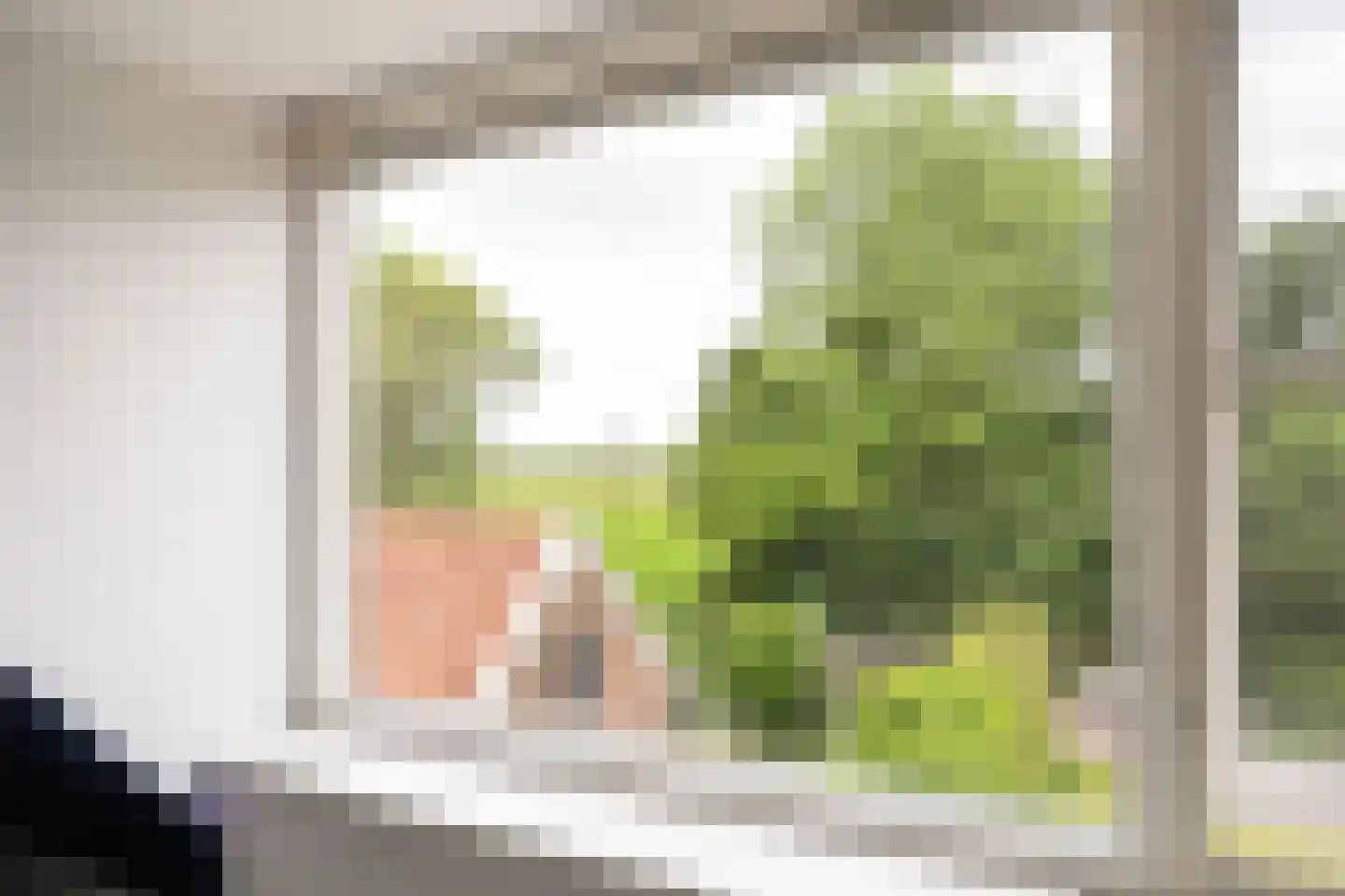 Skillaerderdyk 10 Mantgum thumbnail 51
