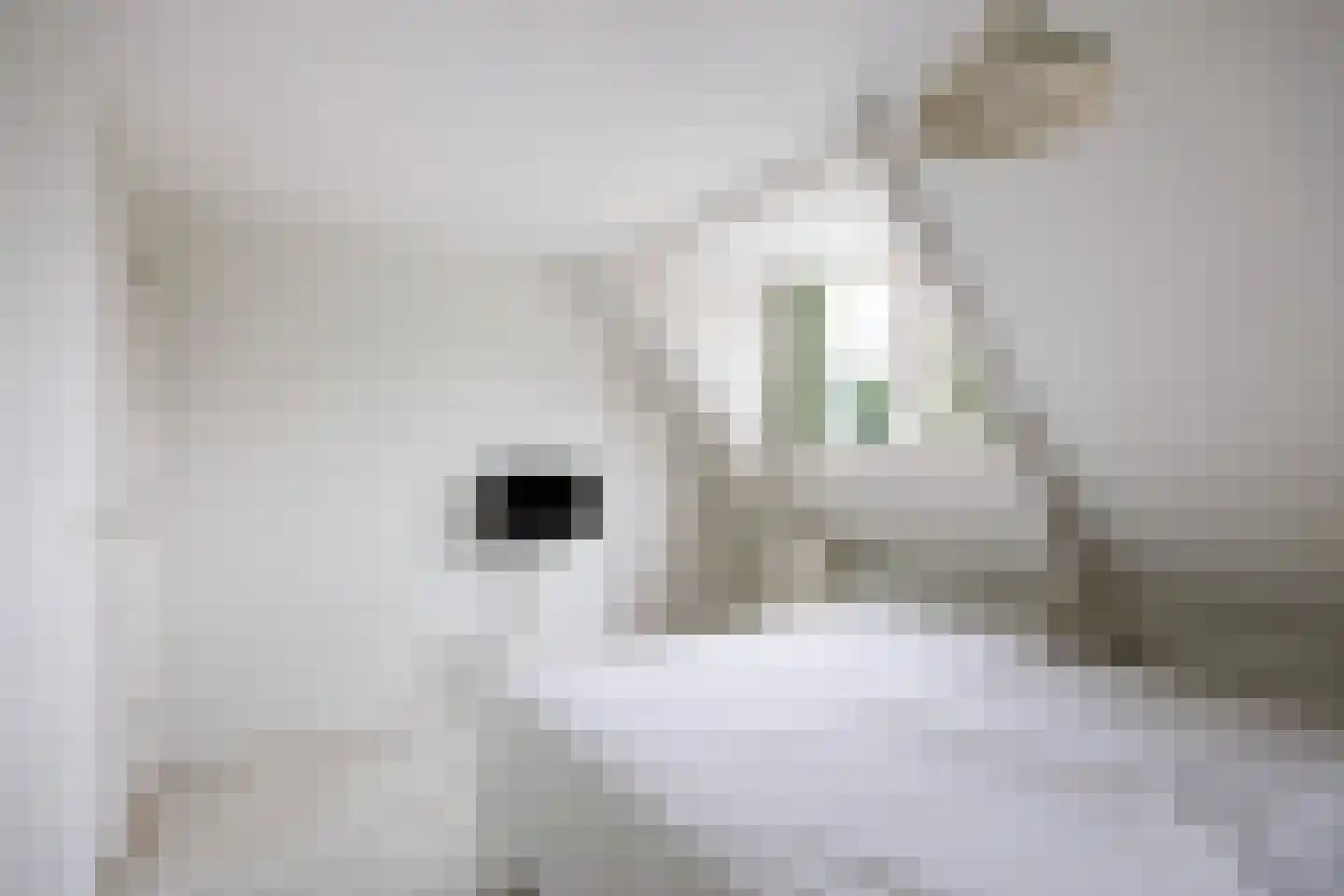 Skillaerderdyk 10 Mantgum thumbnail 53