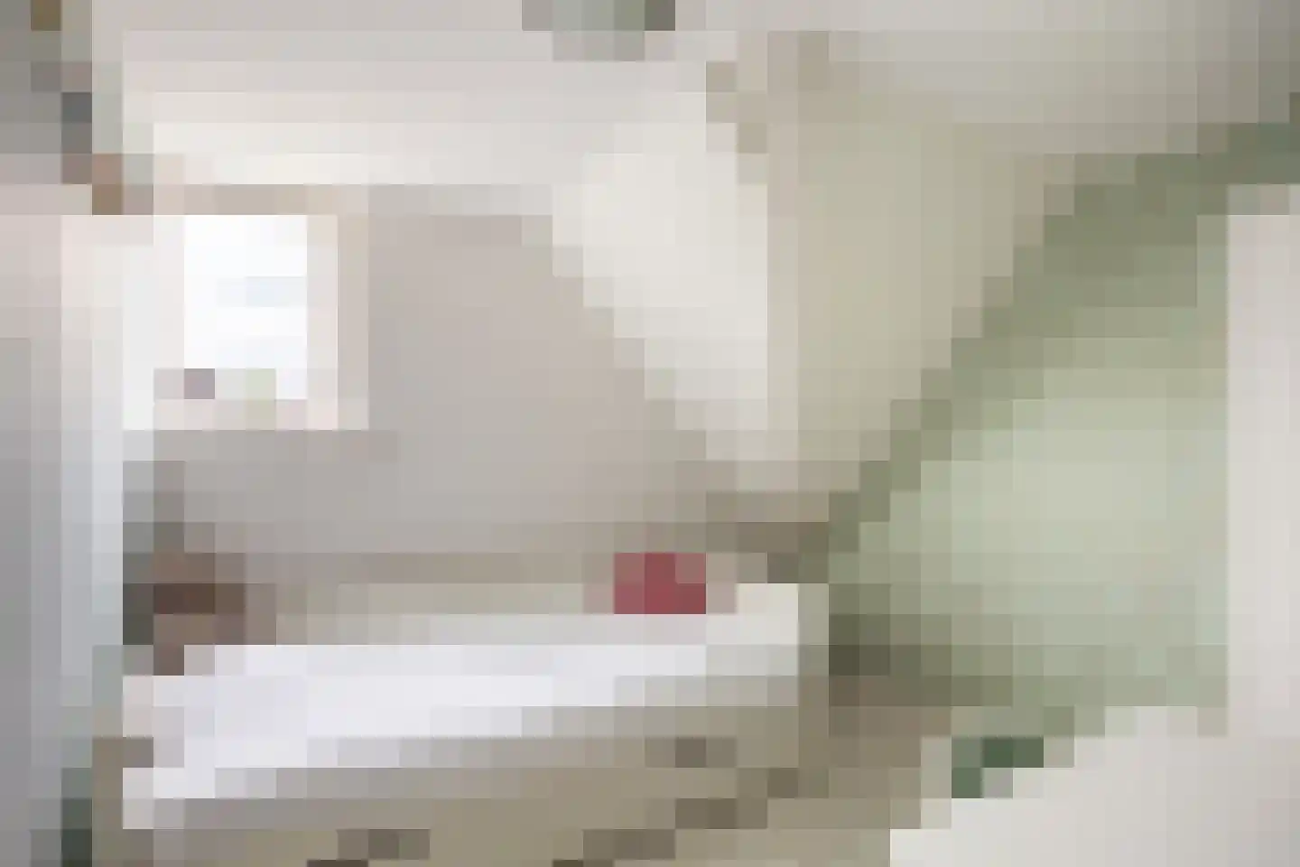 Skillaerderdyk 10 Mantgum thumbnail 54