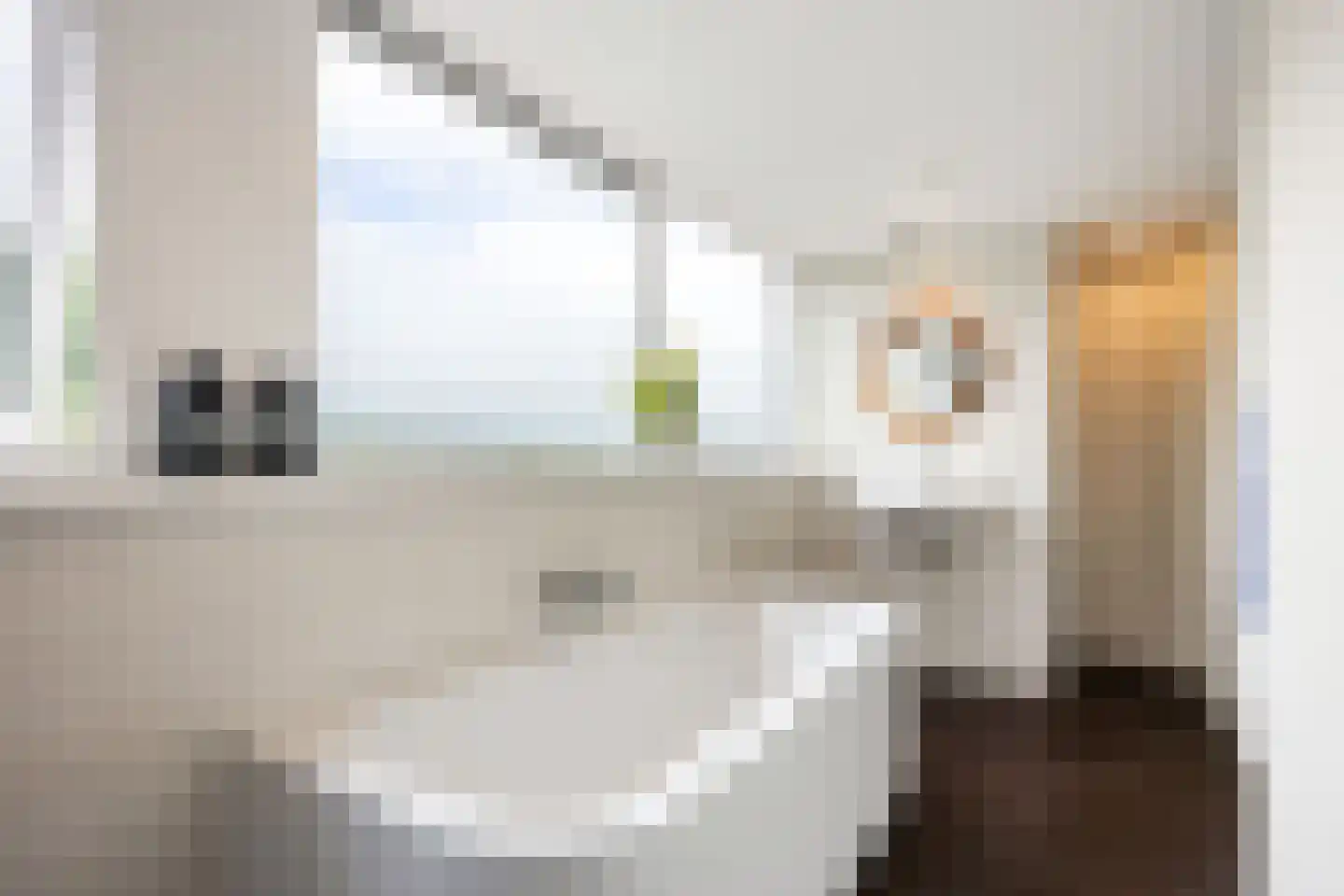 Skillaerderdyk 10 Mantgum thumbnail 58