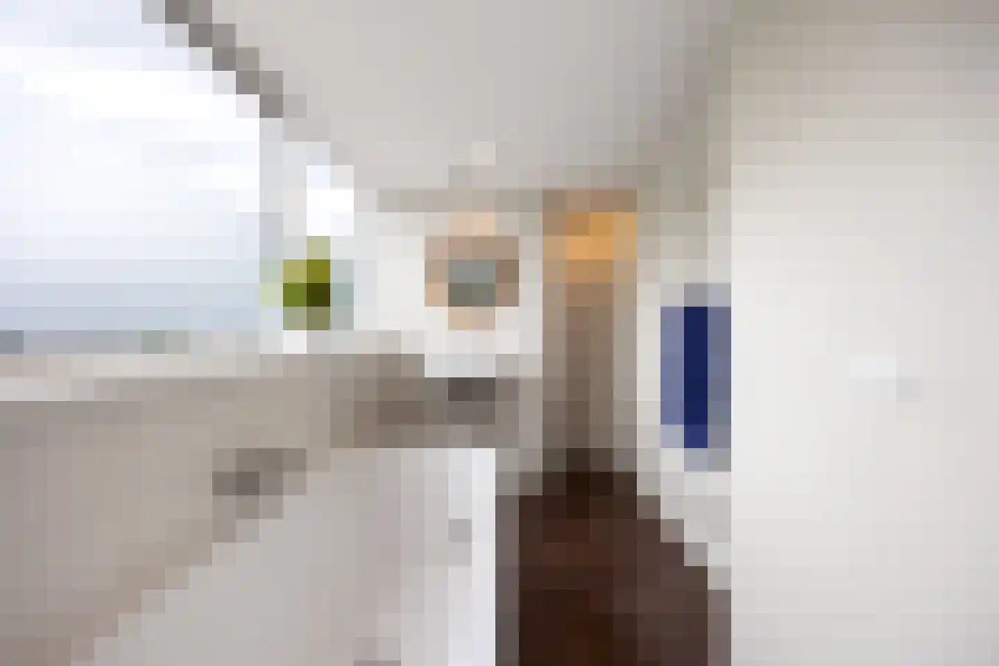 Skillaerderdyk 10 Mantgum thumbnail 59