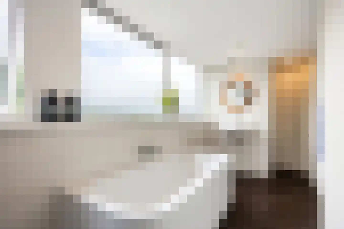 Skillaerderdyk 10 Mantgum thumbnail 6