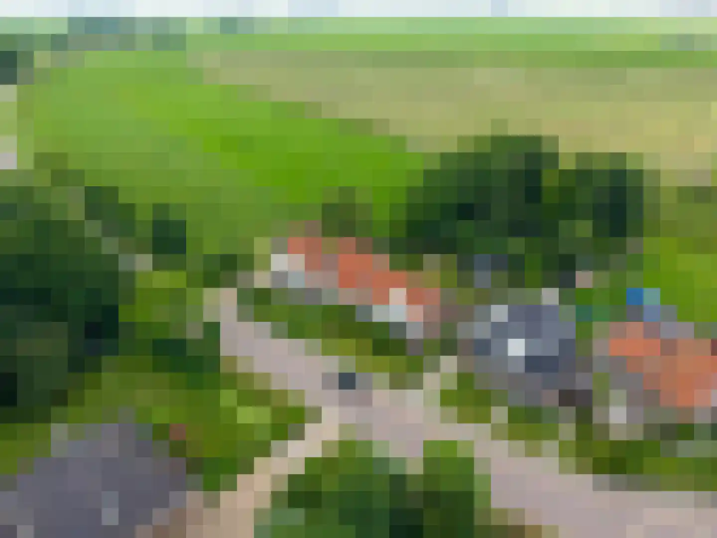Skillaerderdyk 10 Mantgum thumbnail 62
