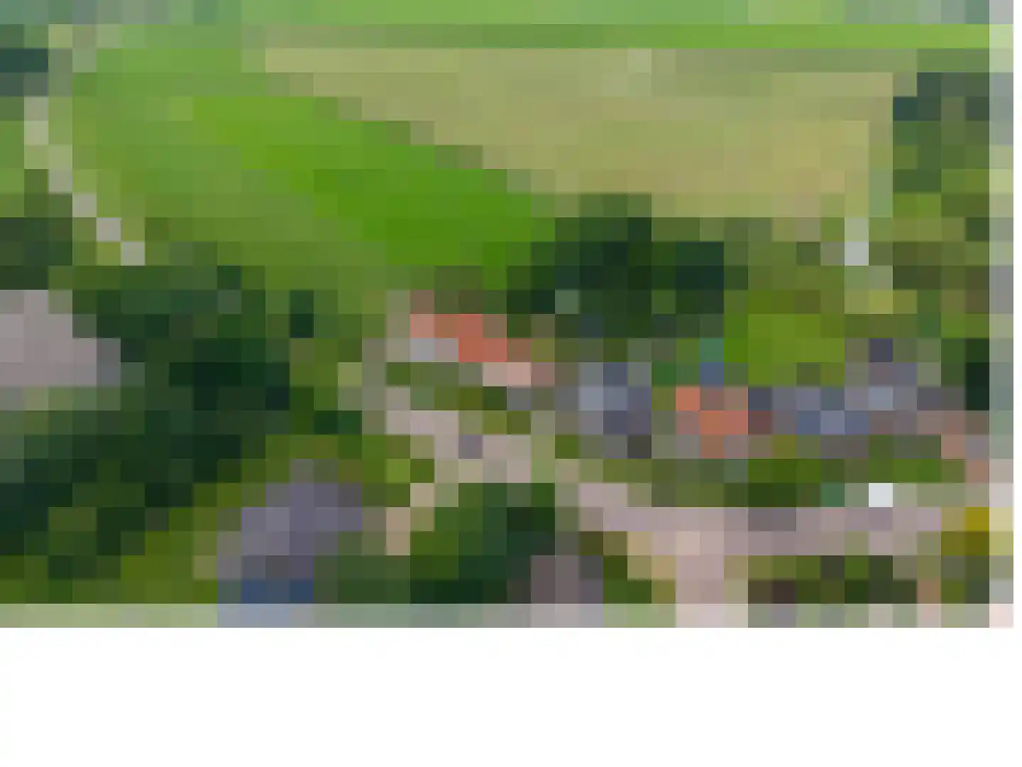Skillaerderdyk 10 Mantgum thumbnail 9
