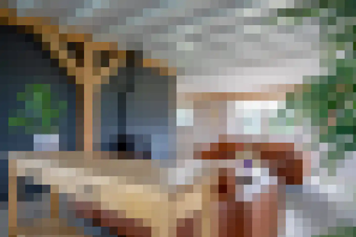 Skillepaadje 8 Den Burg thumbnail 13