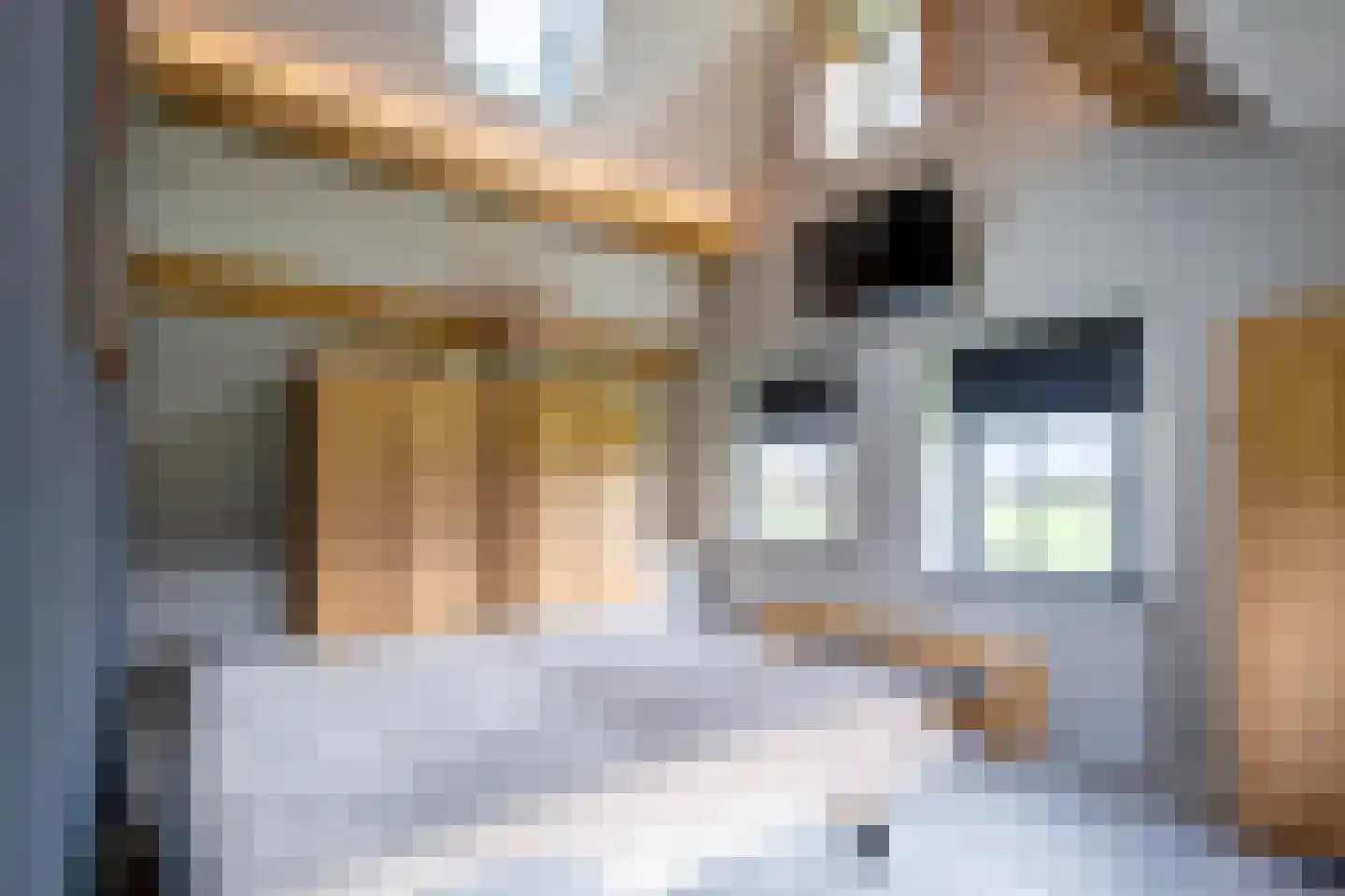 Skillepaadje 8 Den Burg thumbnail 31