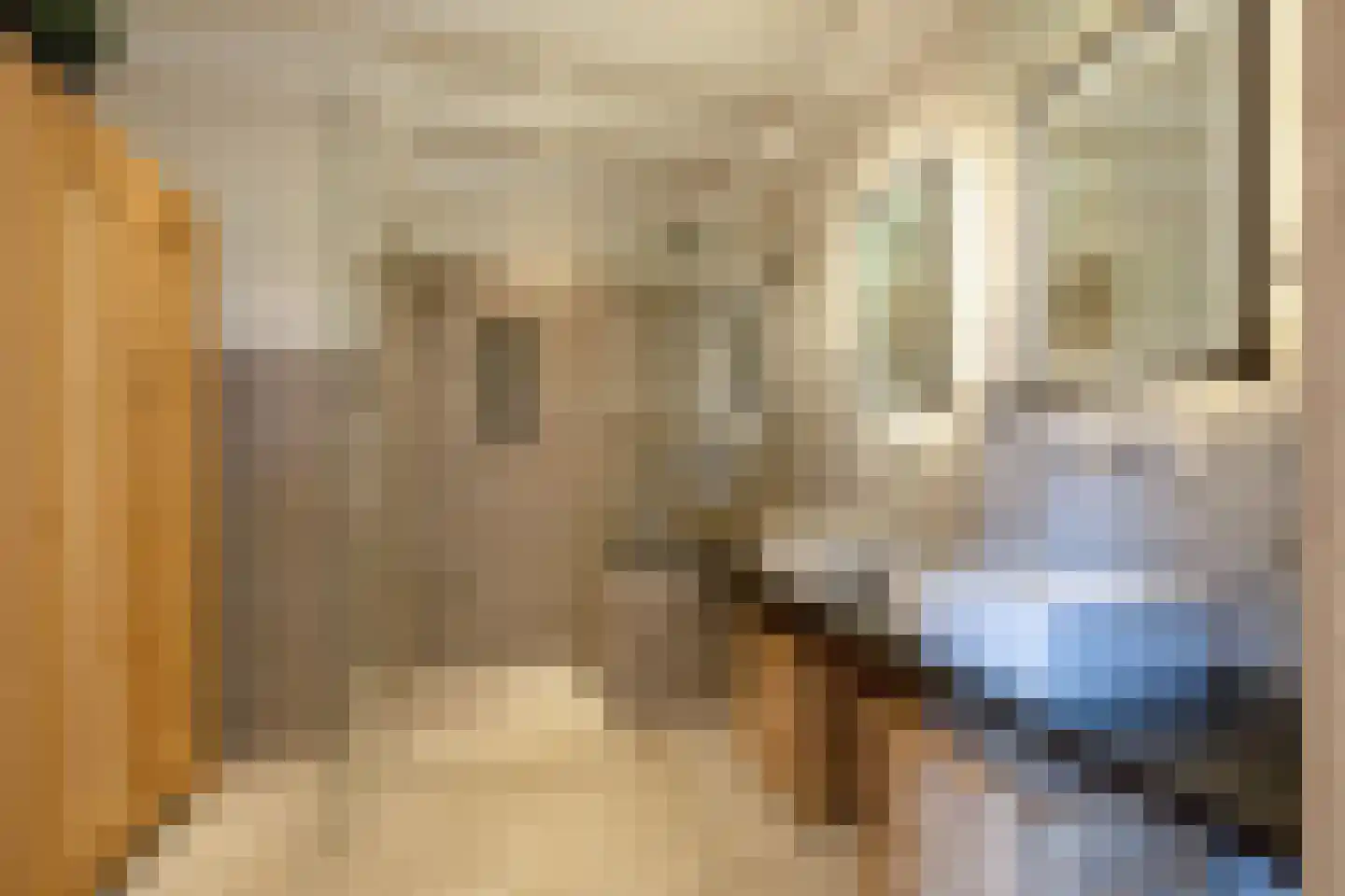 Skillepaadje 8 Den Burg thumbnail 34