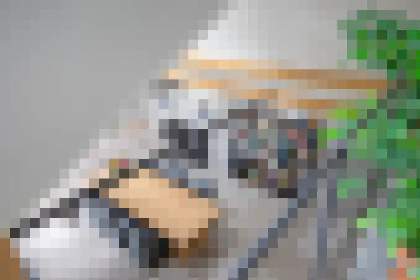 Skillepaadje 8 Den Burg thumbnail 58