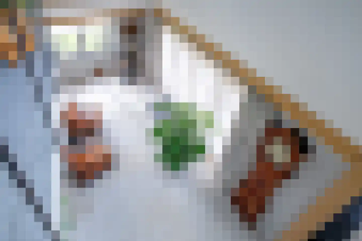 Skillepaadje 8 Den Burg thumbnail 61