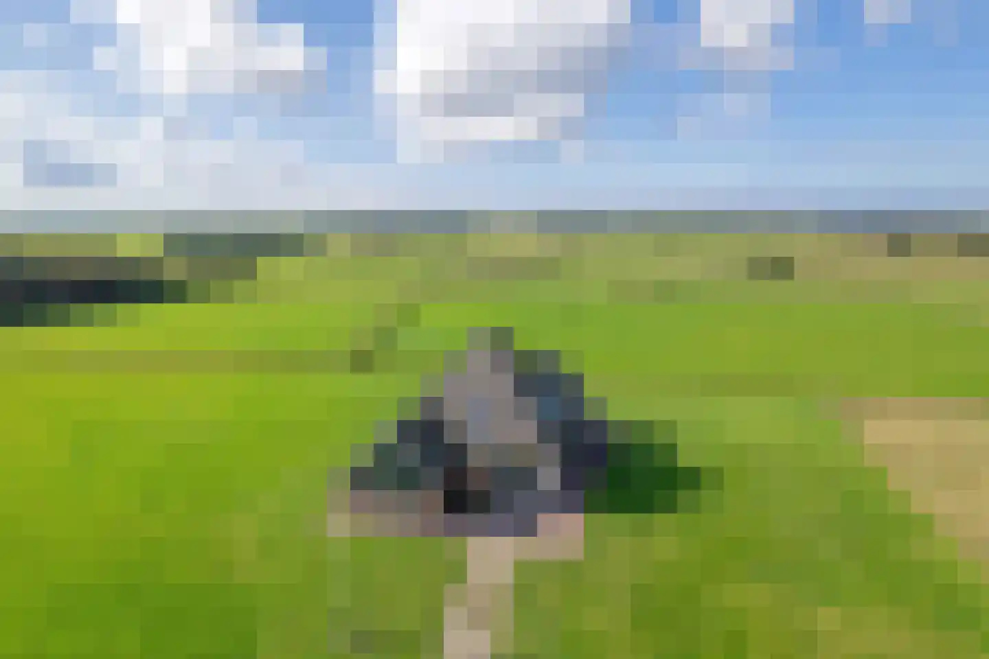Skillepaadje 8 Den Burg thumbnail 67