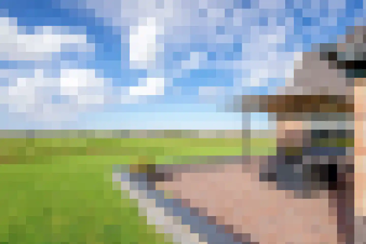 Skillepaadje 8 Den Burg thumbnail 79