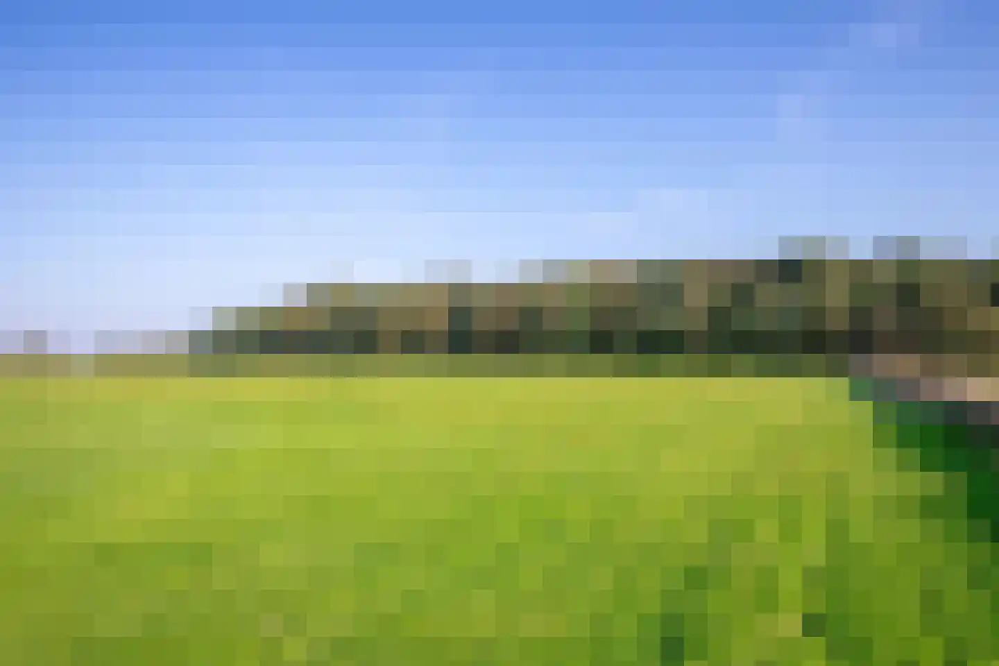 Skillepaadje 8 Den Burg thumbnail 91