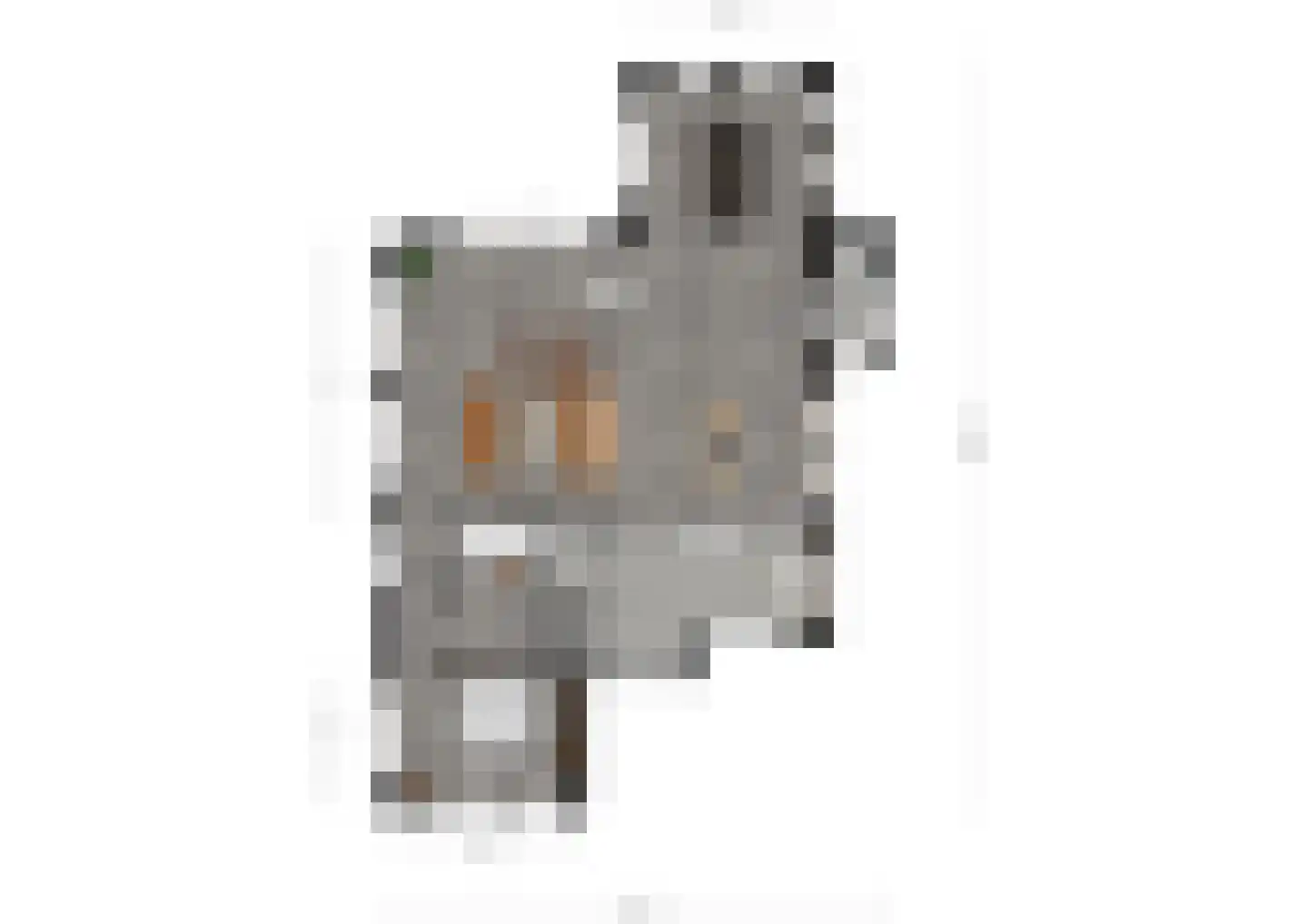 Skillepaadje 8 Den Burg thumbnail 95
