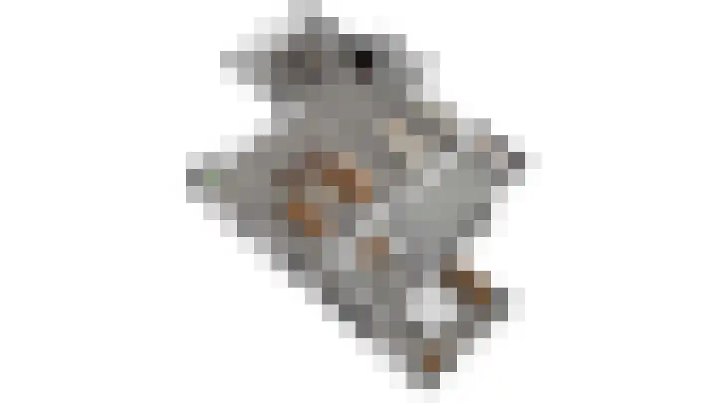 Skillepaadje 8 Den Burg thumbnail 97