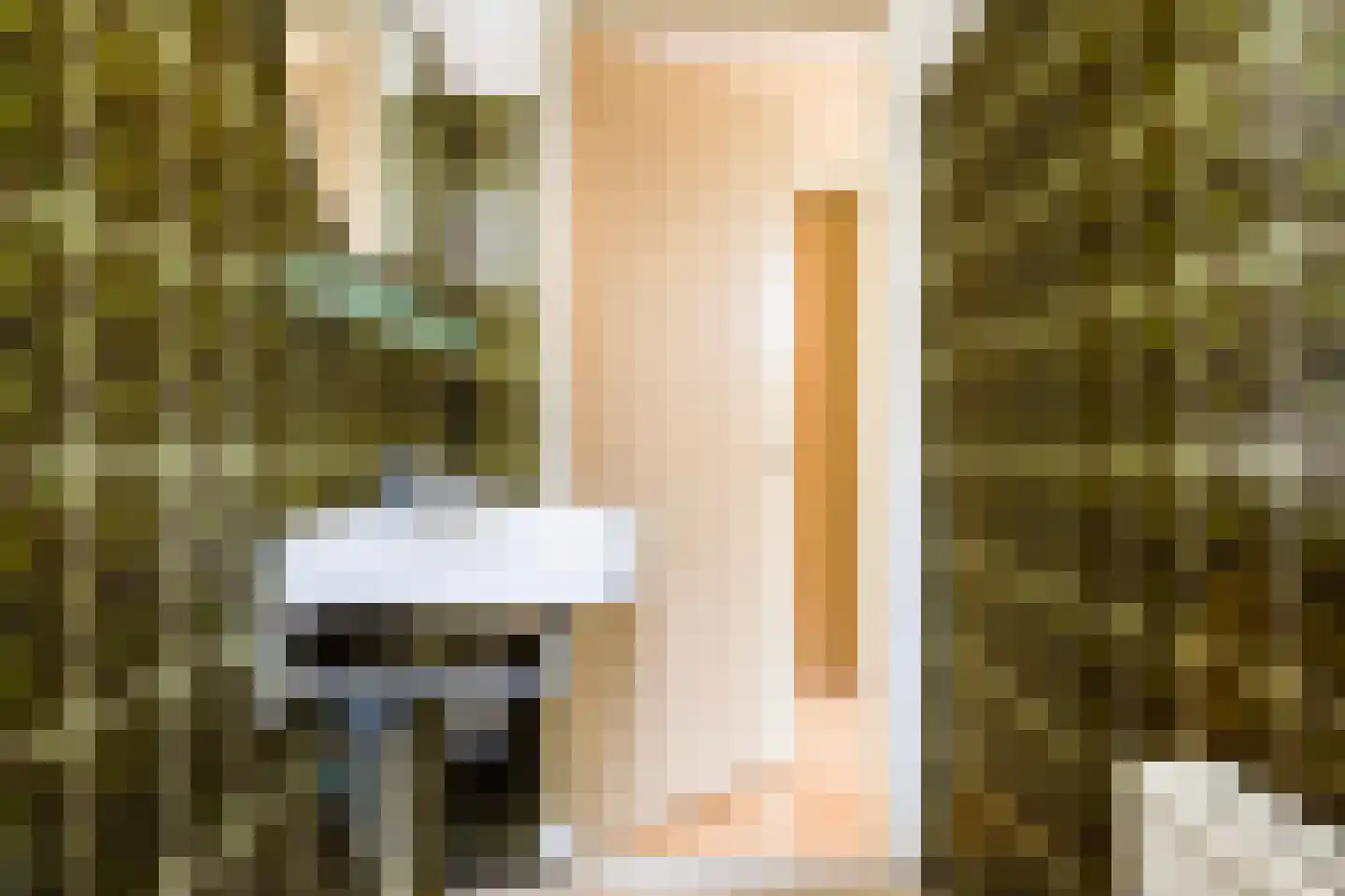 Skilpaed 20 Dronryp thumbnail 11