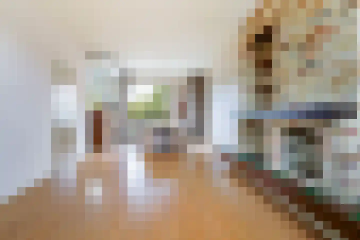 Skilpaed 20 Dronryp thumbnail 12