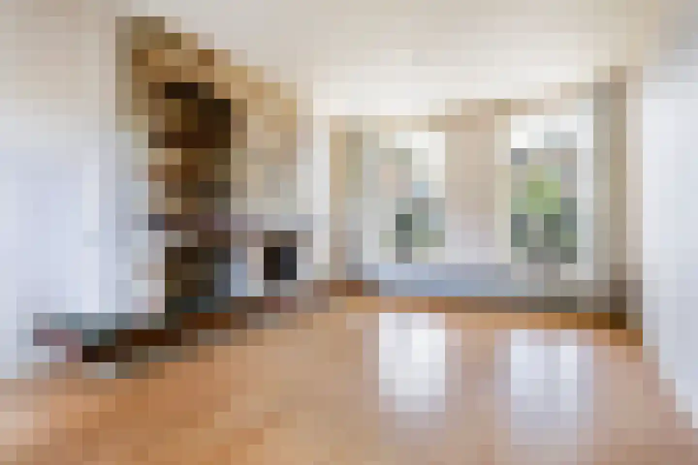 Skilpaed 20 Dronryp thumbnail 14