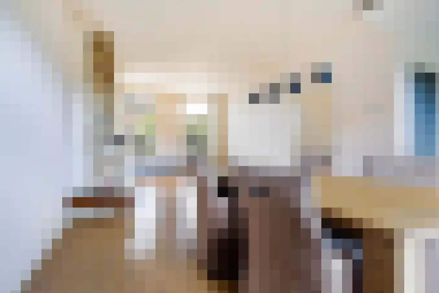 Skilpaed 20 Dronryp thumbnail 15