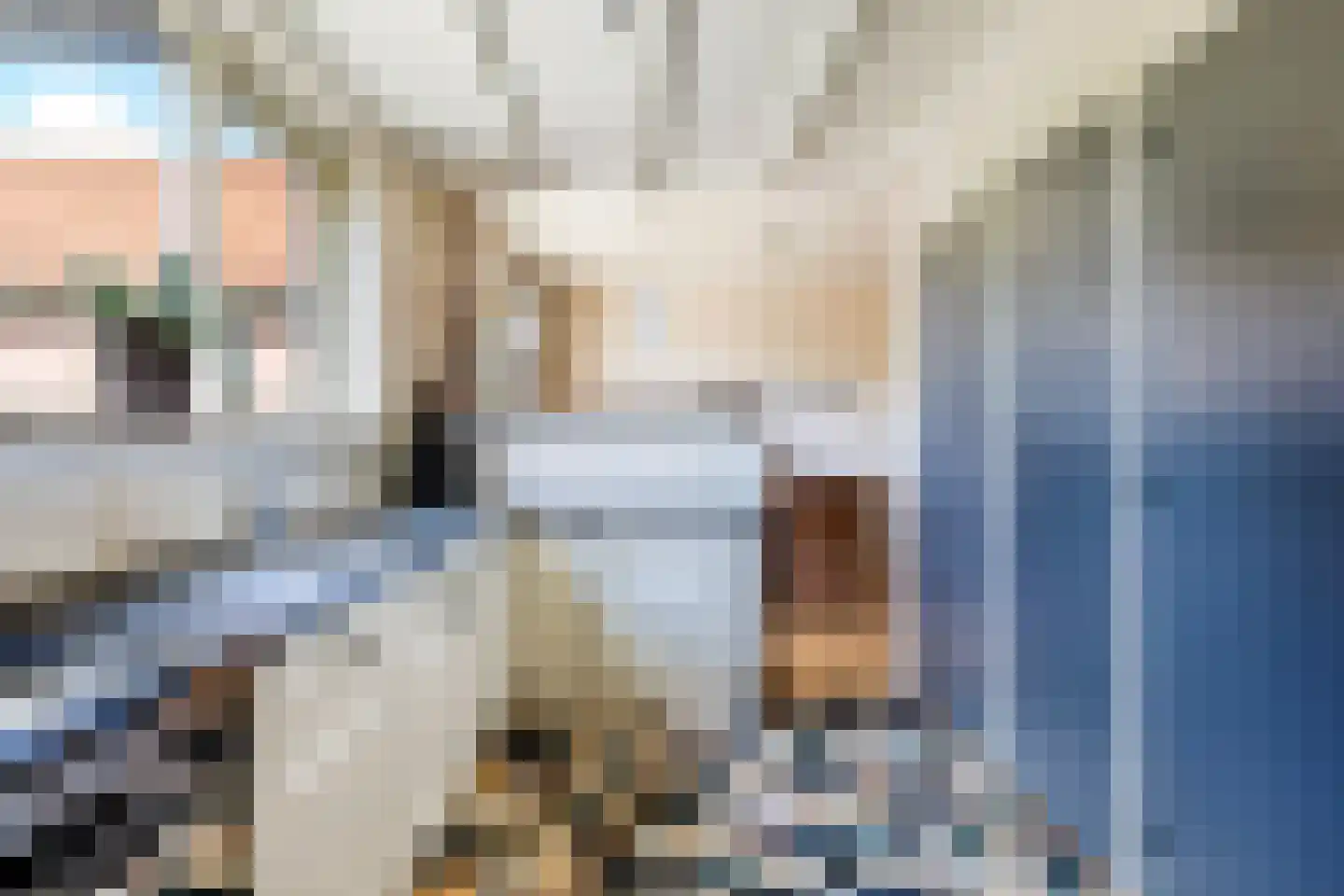 Skilpaed 20 Dronryp thumbnail 16