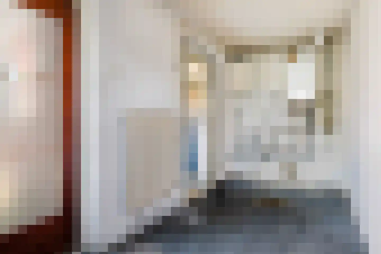 Skilpaed 20 Dronryp thumbnail 18