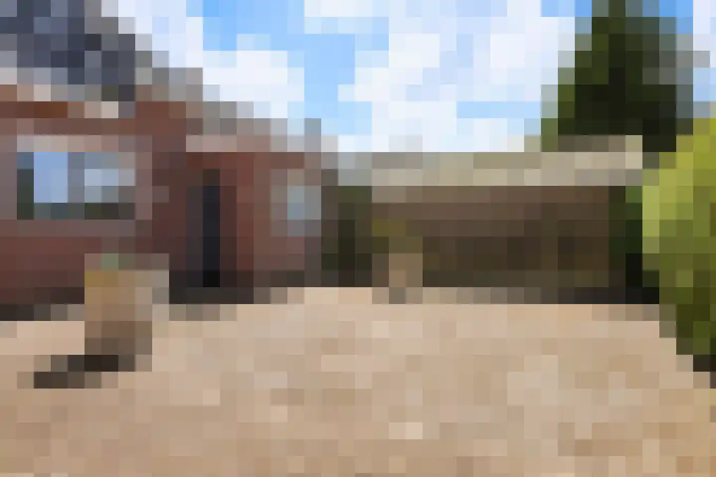Skilpaed 20 Dronryp thumbnail 20
