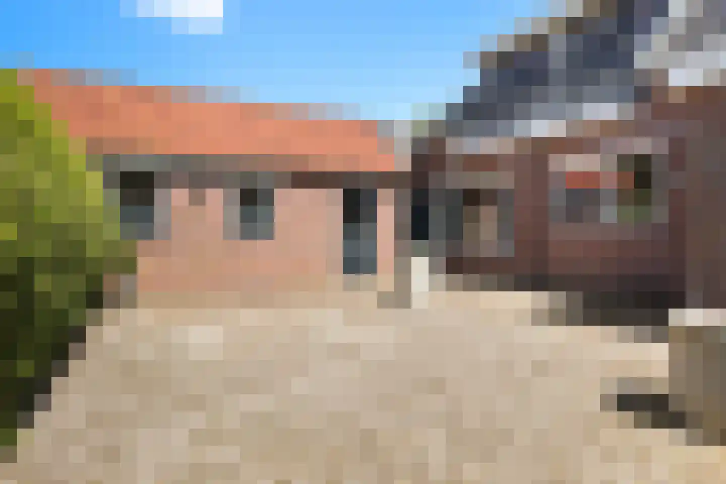 Skilpaed 20 Dronryp thumbnail 21