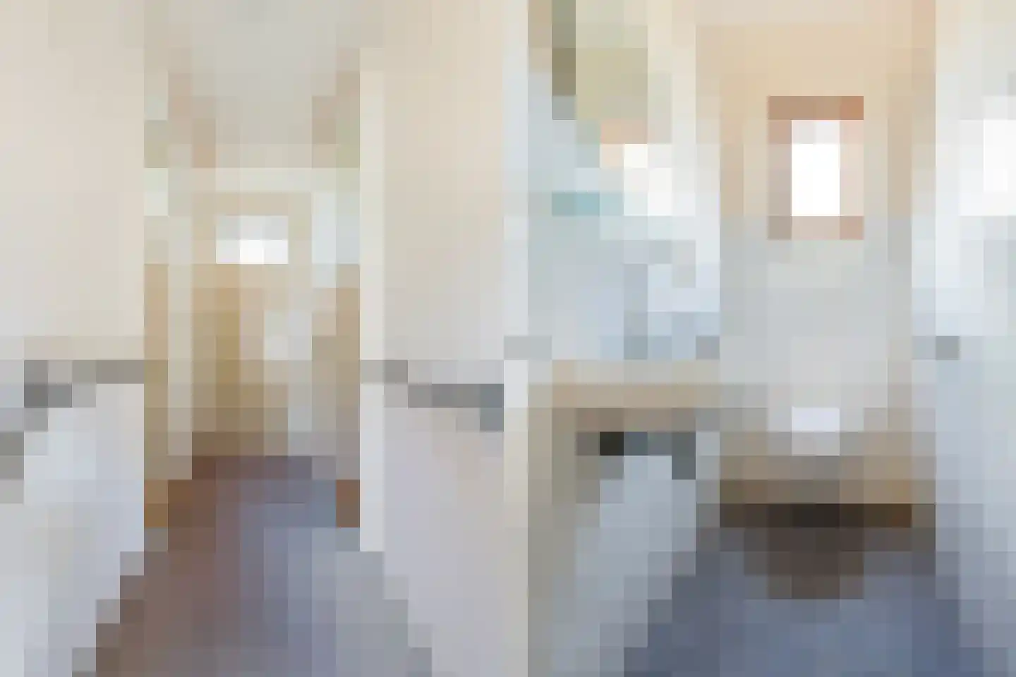 Skilpaed 20 Dronryp thumbnail 22