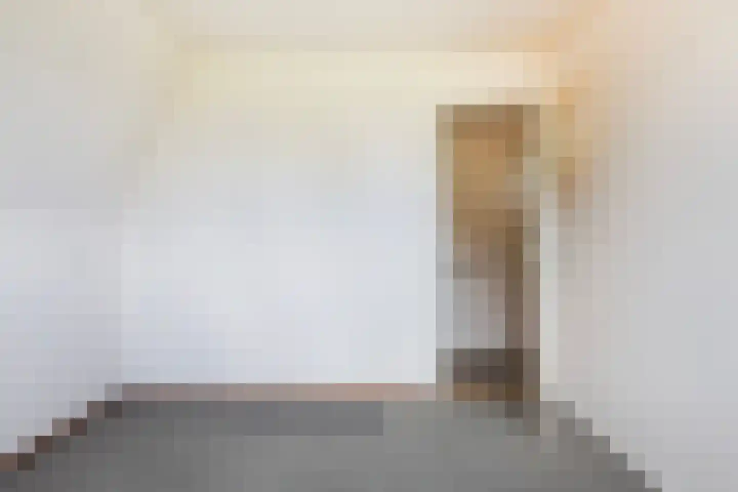 Skilpaed 20 Dronryp thumbnail 24