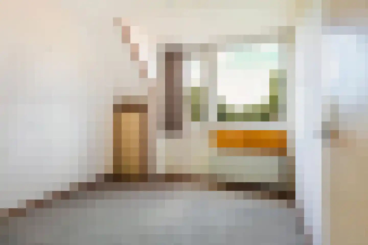 Skilpaed 20 Dronryp thumbnail 26
