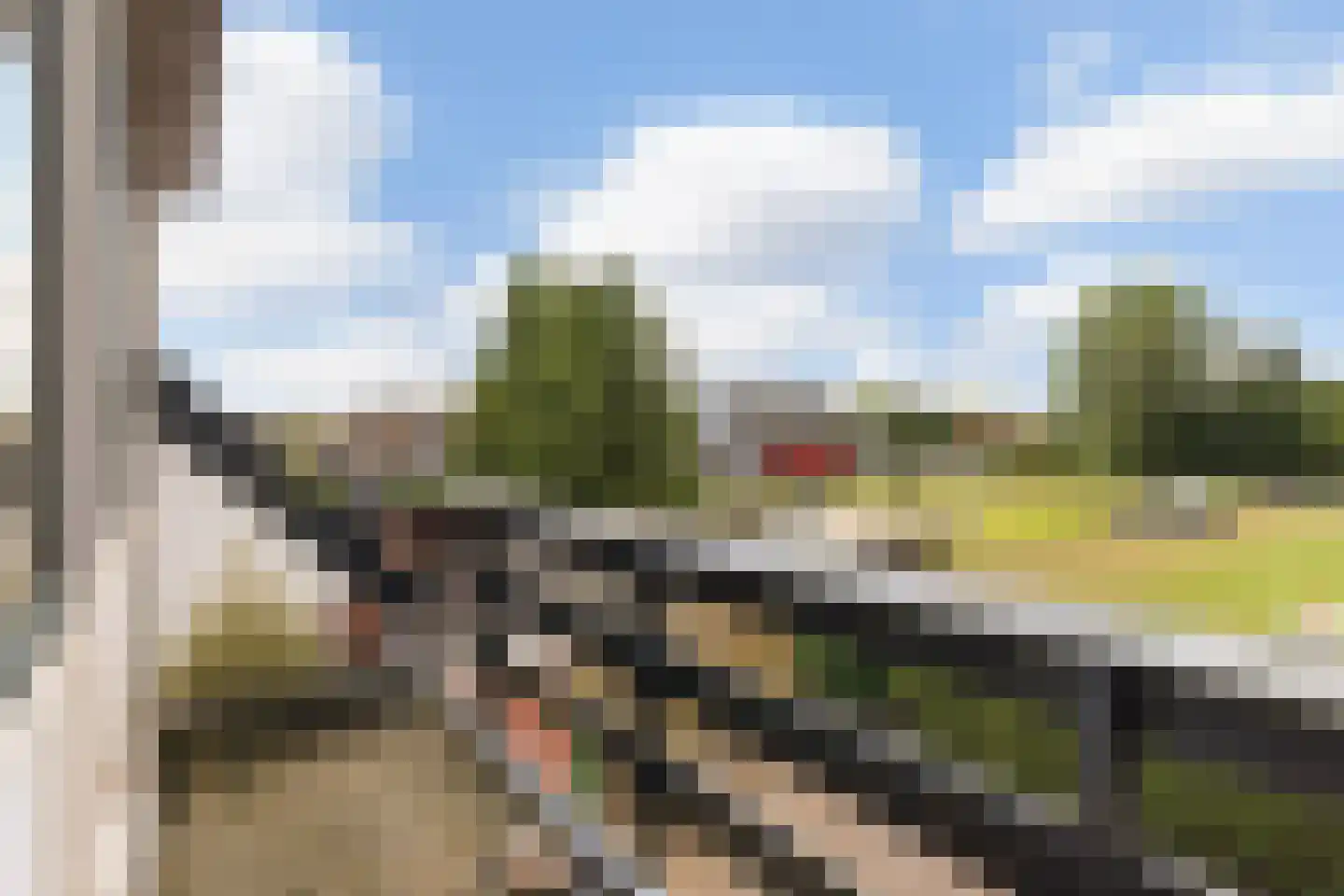 Skilpaed 20 Dronryp thumbnail 27