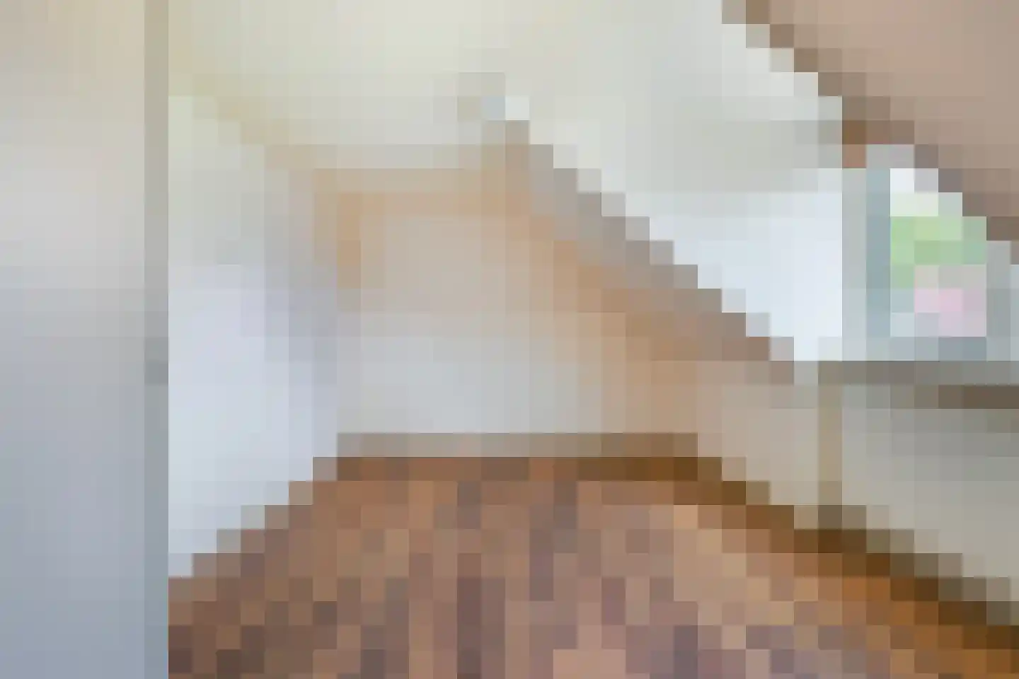 Skilpaed 20 Dronryp thumbnail 28