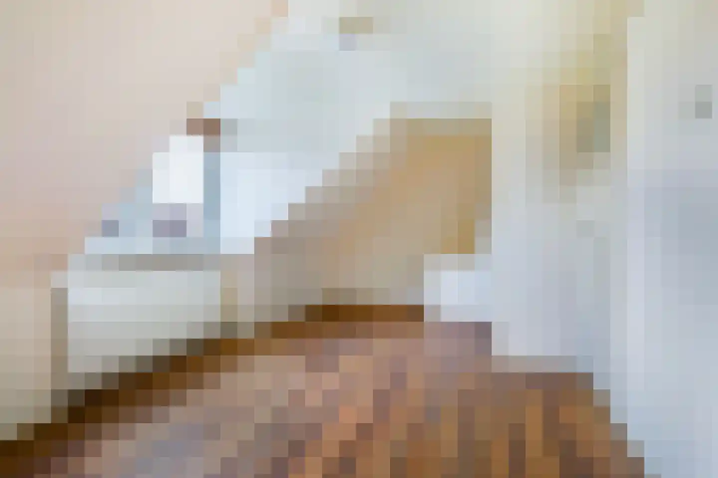 Skilpaed 20 Dronryp thumbnail 29