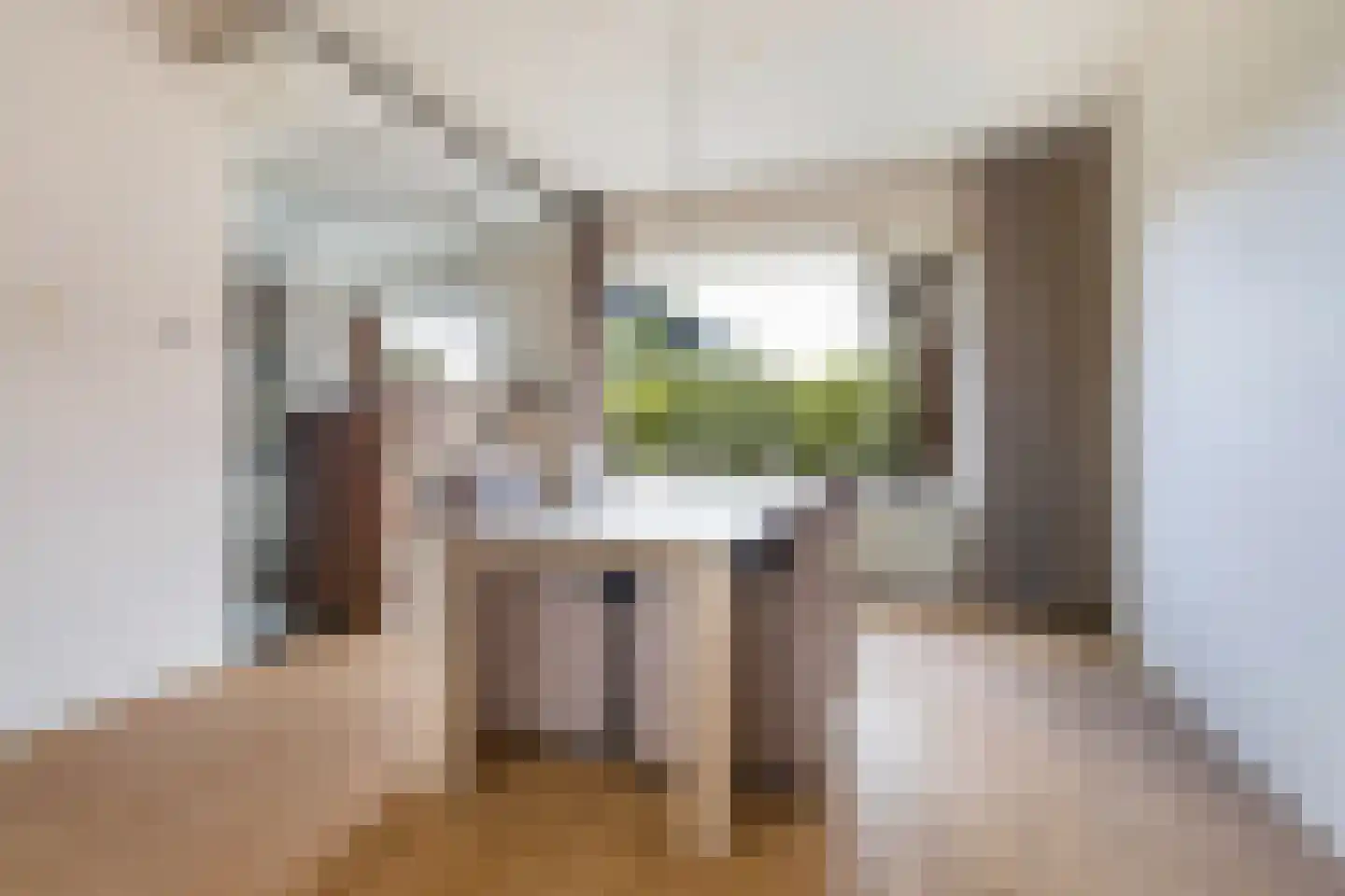 Skilpaed 20 Dronryp foto 3