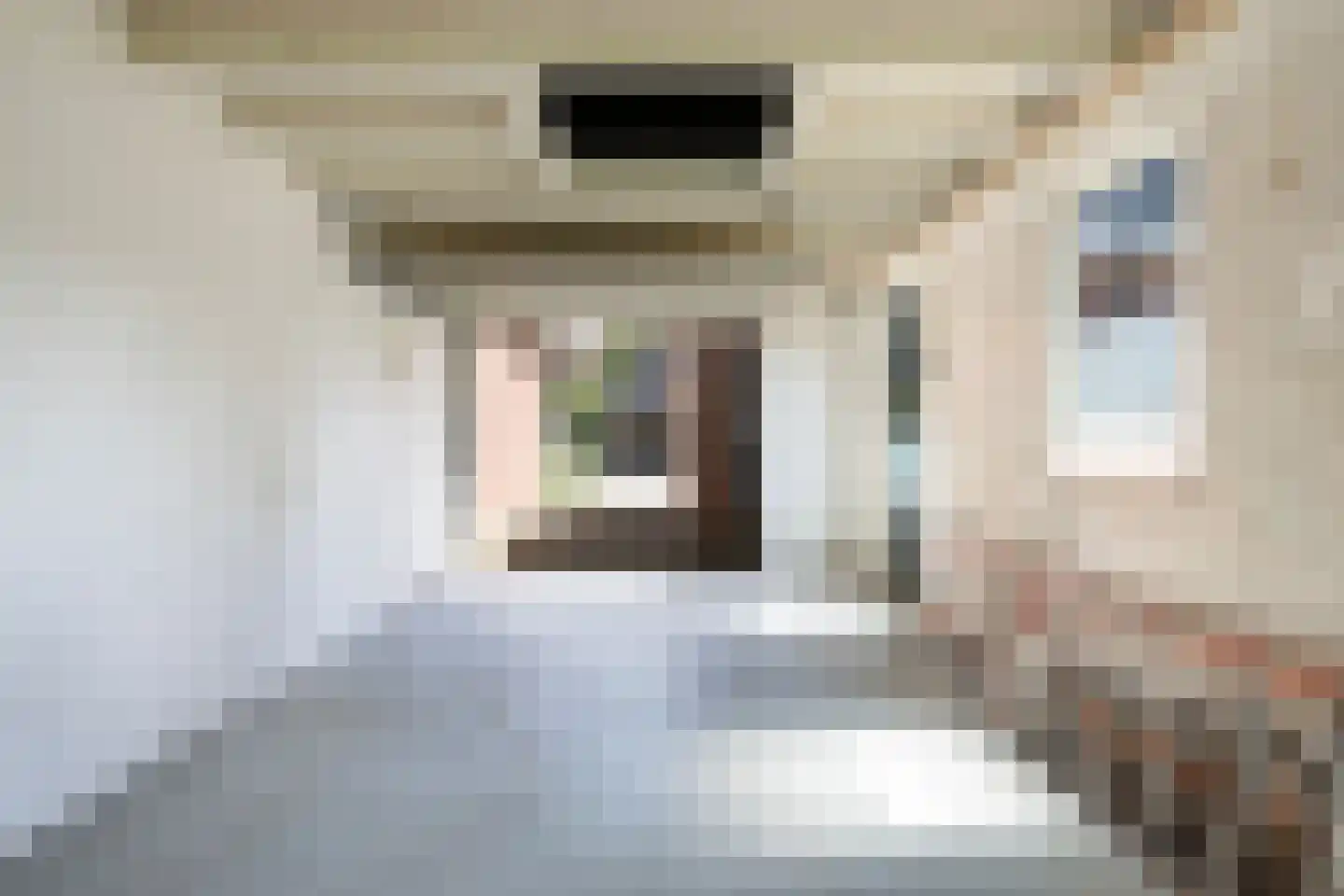 Skilpaed 20 Dronryp thumbnail 30