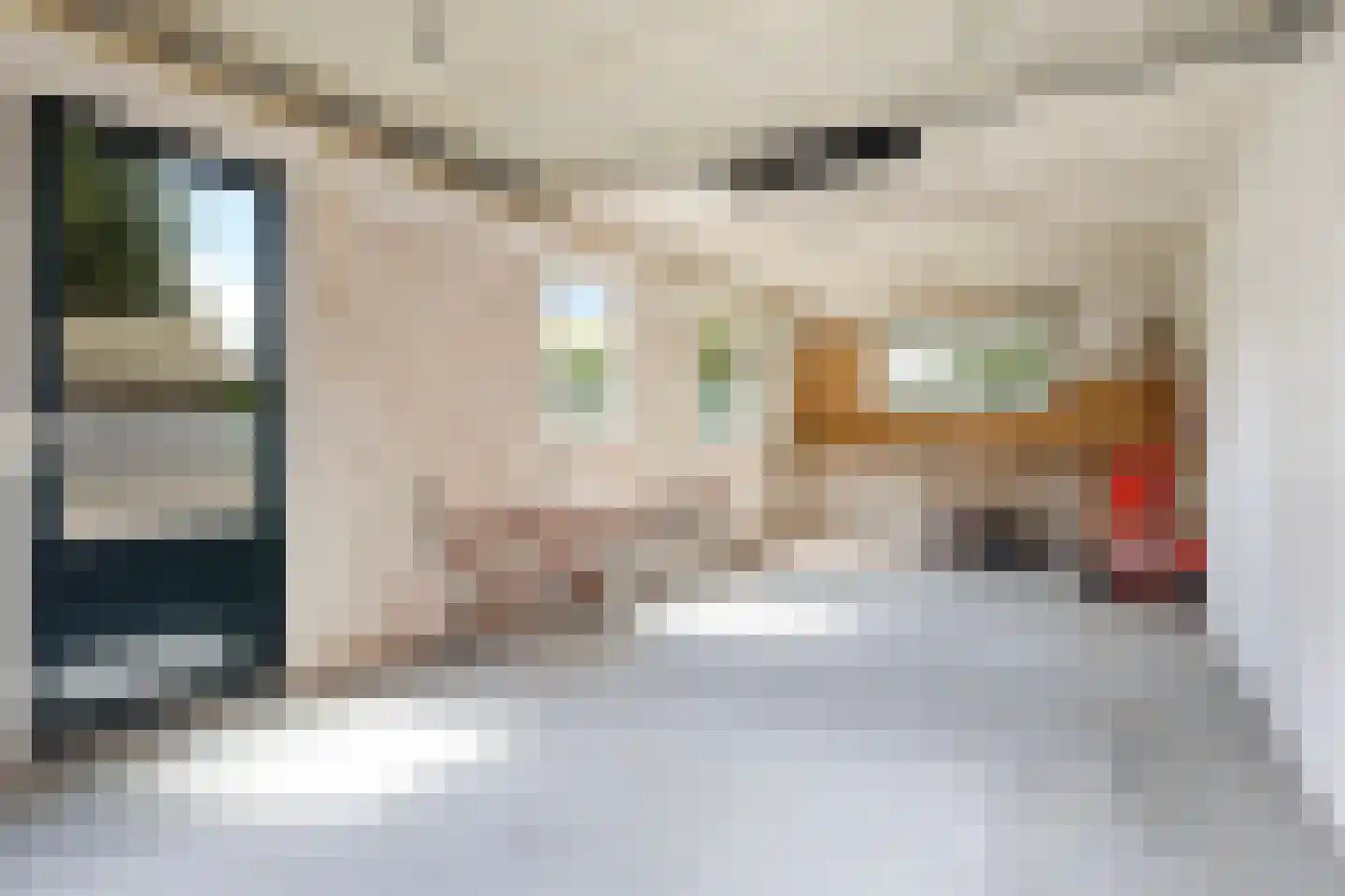 Skilpaed 20 Dronryp thumbnail 31
