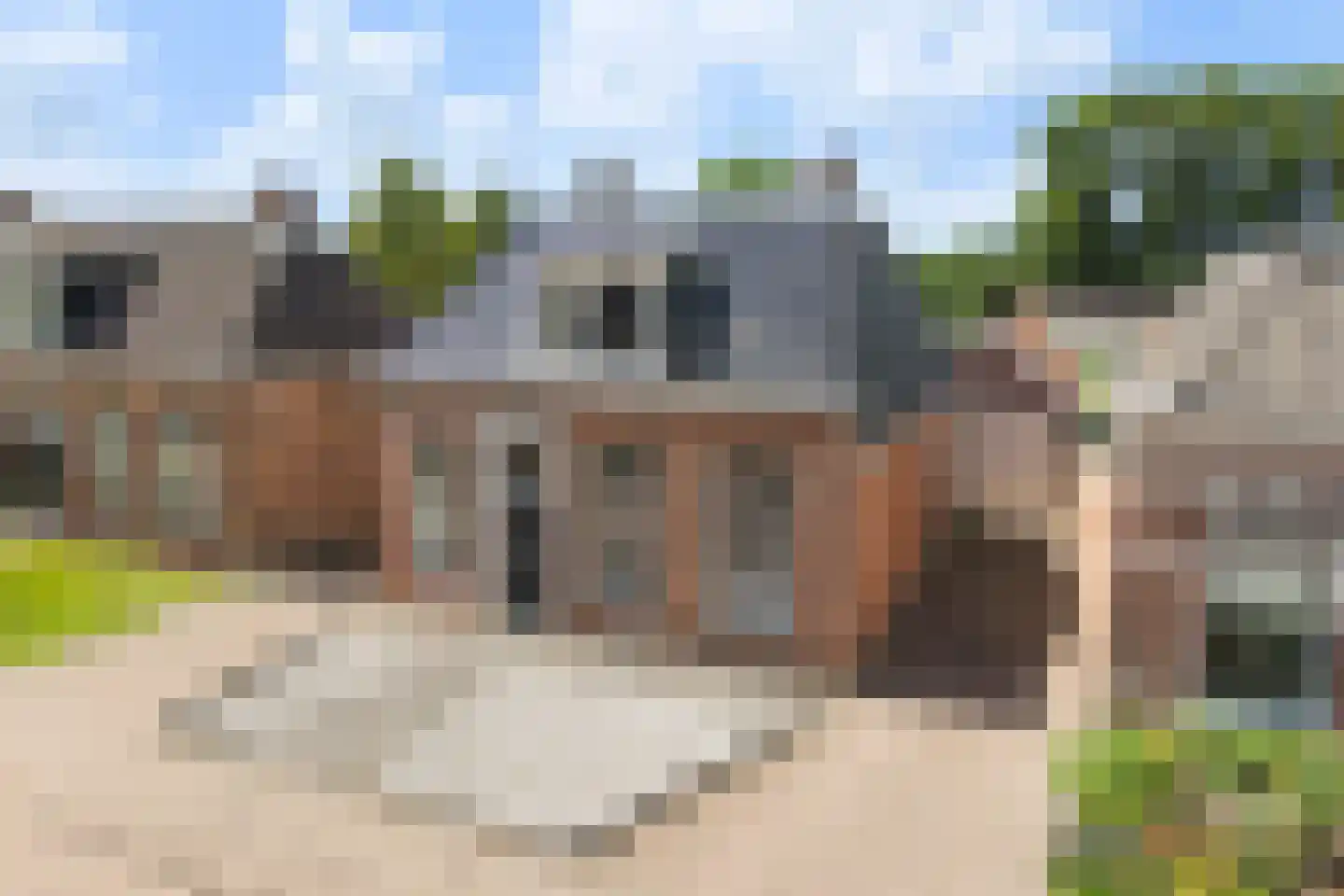 Skilpaed 20 Dronryp thumbnail 33