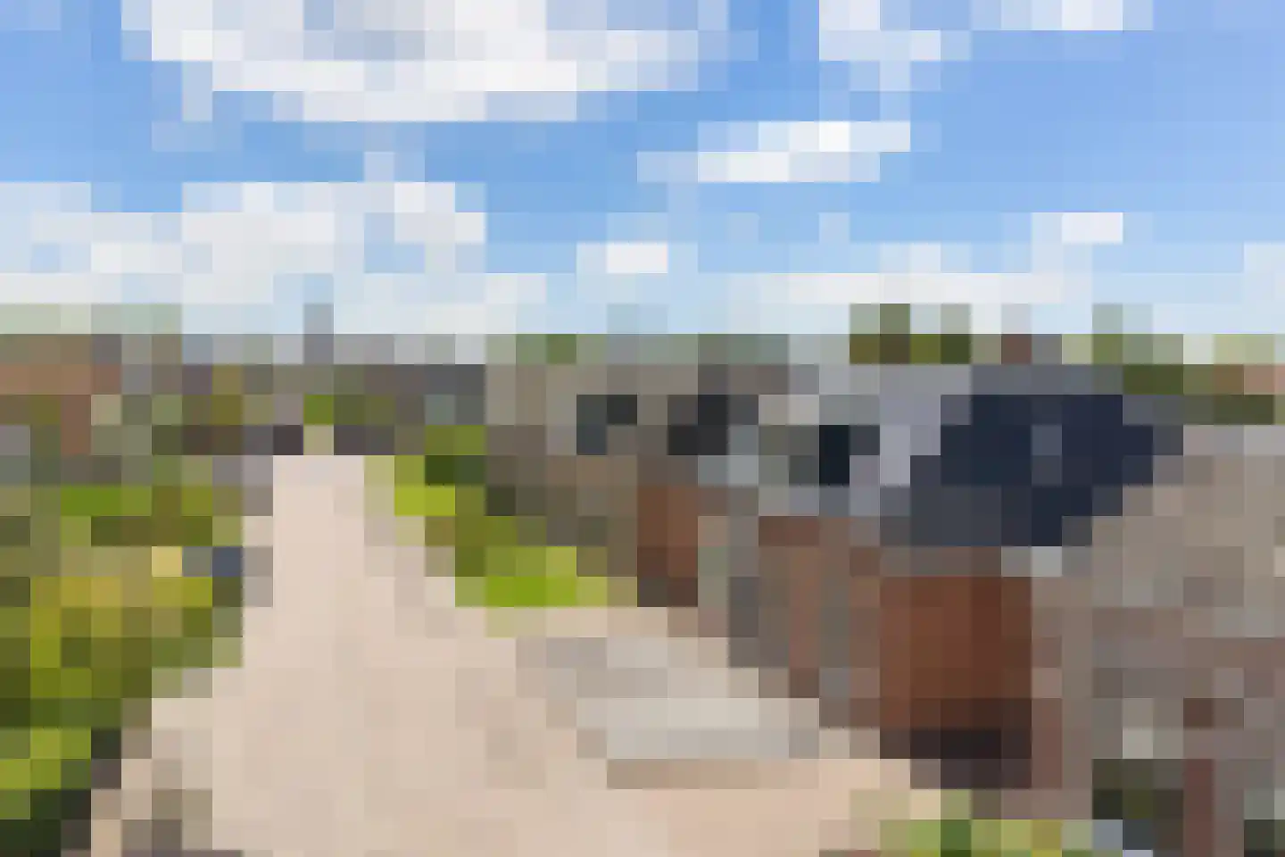 Skilpaed 20 Dronryp thumbnail 35