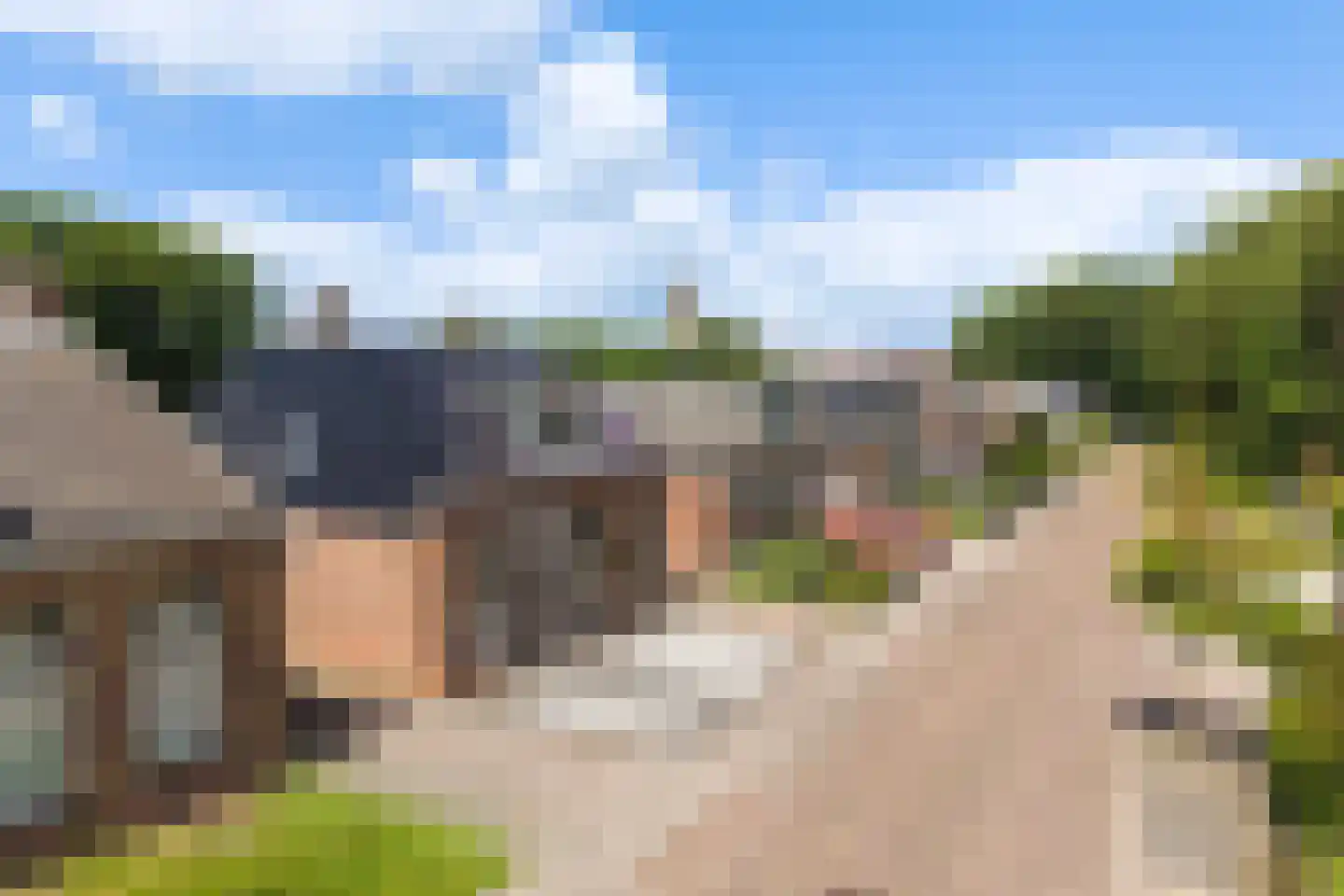 Skilpaed 20 Dronryp thumbnail 36