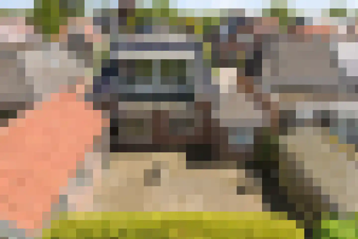 Skilpaed 20 Dronryp thumbnail 37